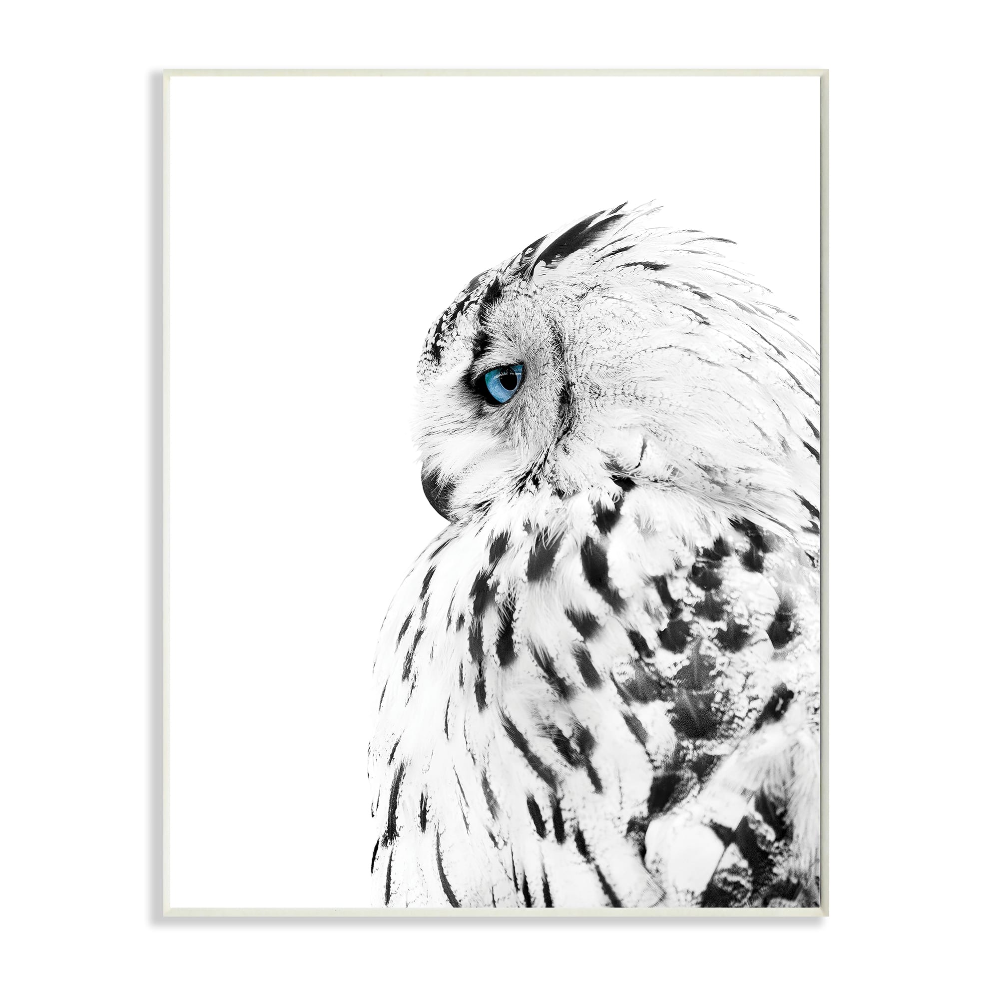 Stupell Industries Snow Owl White Feathers Peering Blue Eyes Wall Plaque