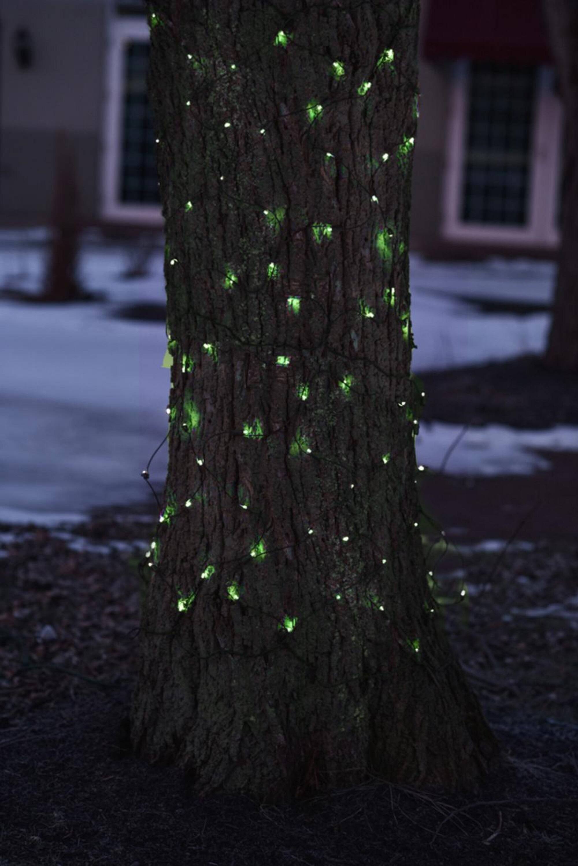 2' x 8' Green Mini Net Style Tree Trunk Wrap Christmas Lights - Brown Wire