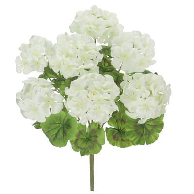 White Geranium Bush by Ashland® | Michaels