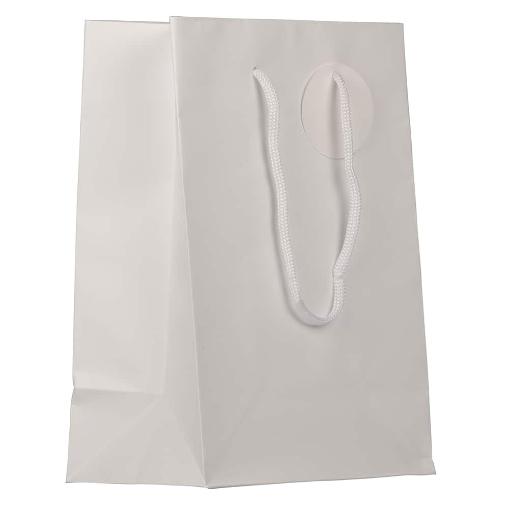 JAM Paper Medium Gift Bags with Rope Handles, 3ct.