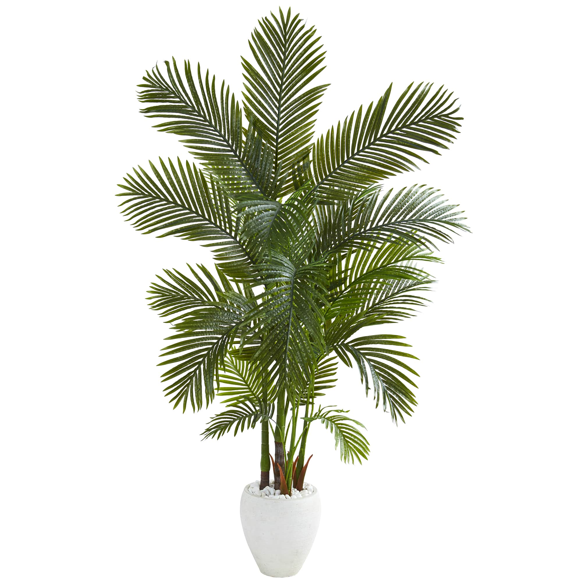 5.75ft. Areca Palm Tree in White Planter | Trees & Floor Plants | Michaels