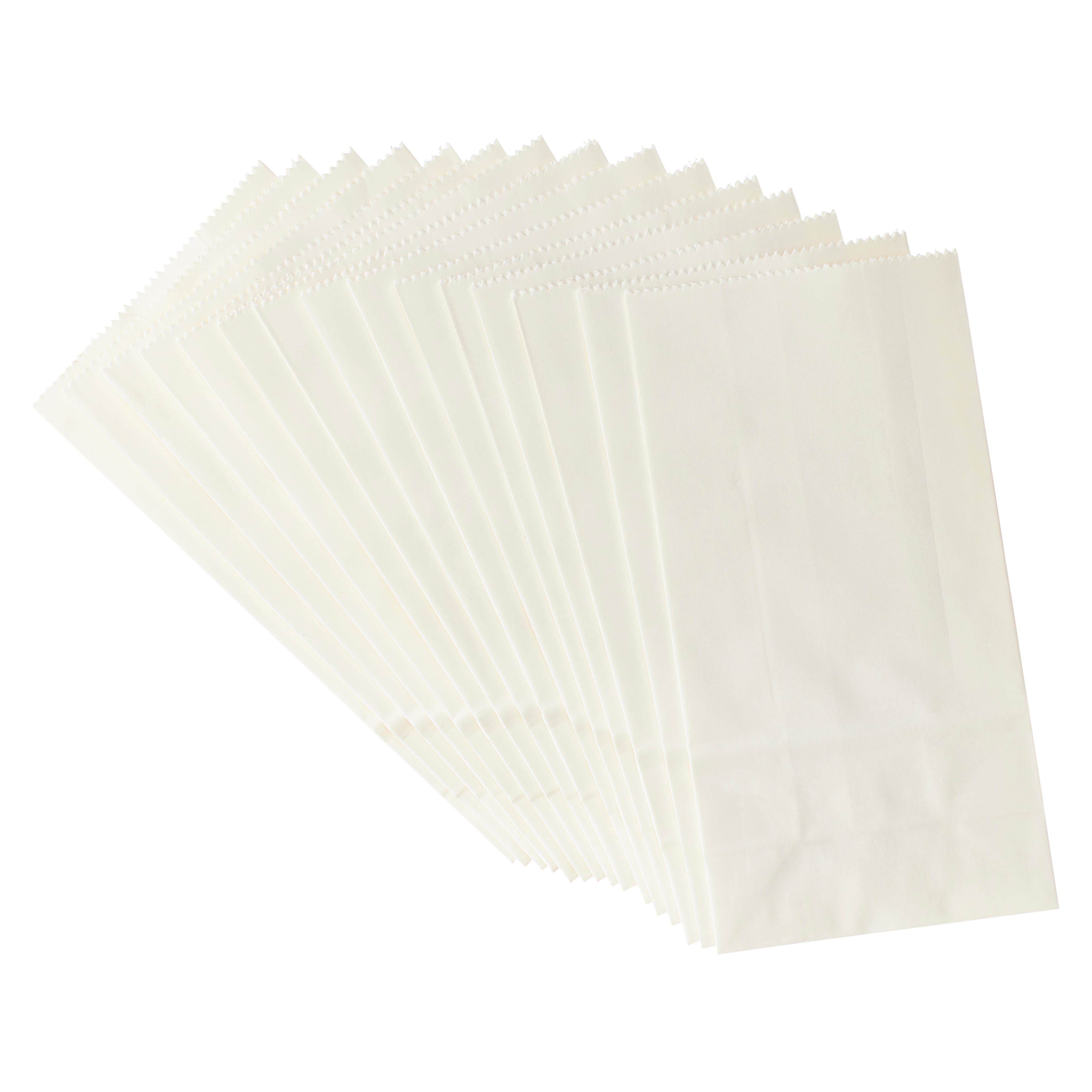 1lb. Treat Bags by Celebrate It™