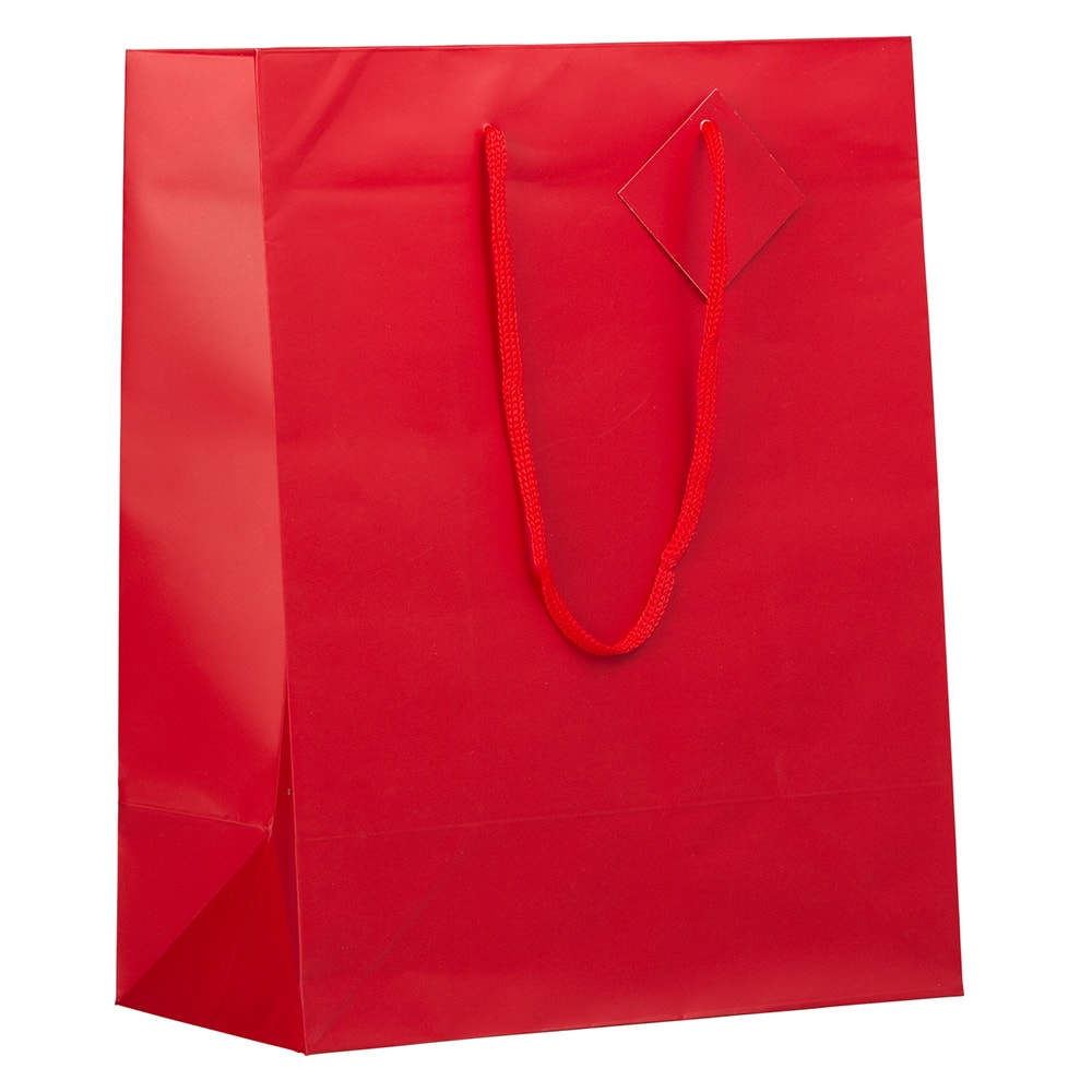 JAM Paper Large Matte Gift Bag, 3ct. | Michaels