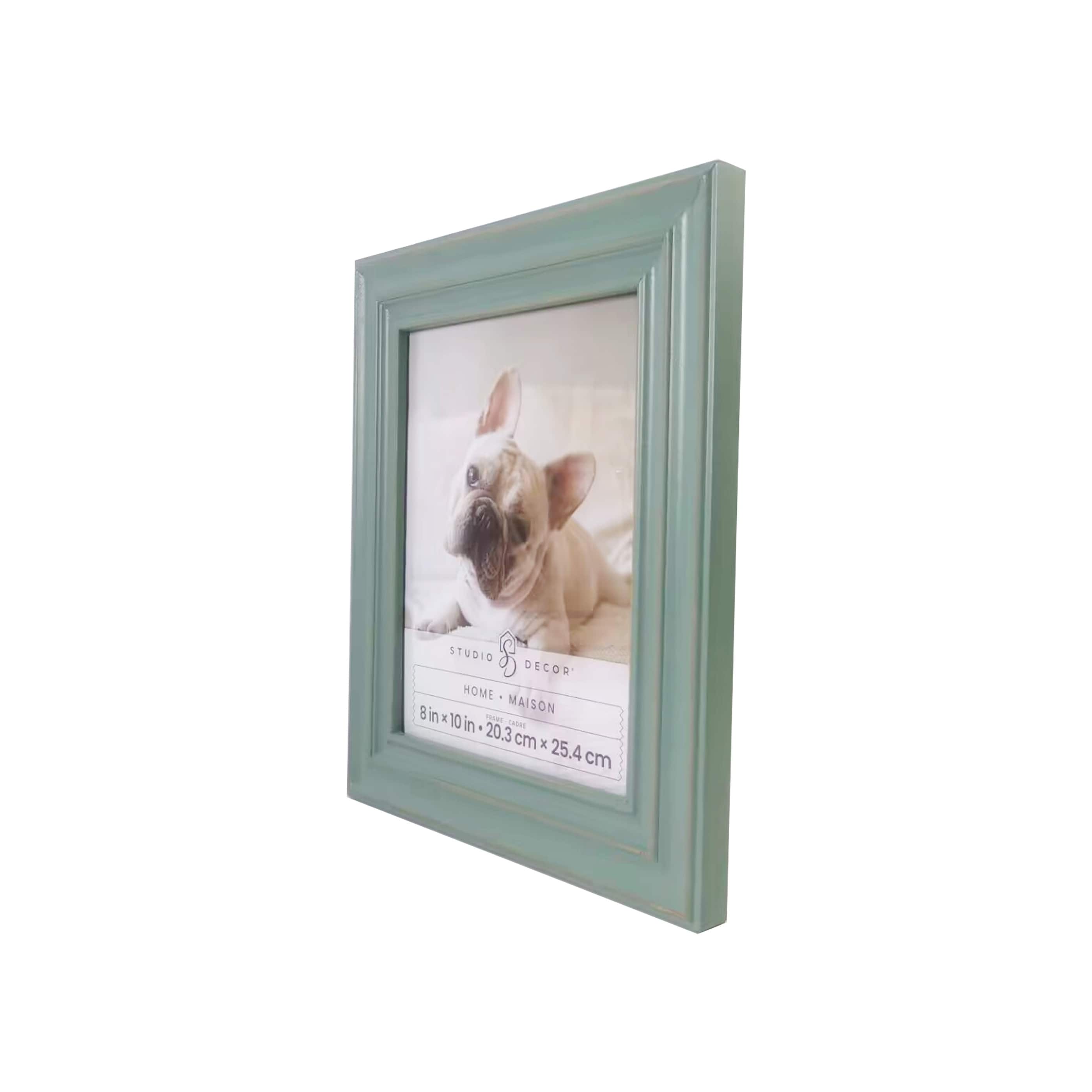 Home Sage Green Catalina Frame by Studio D&#xE9;cor&#xAE;