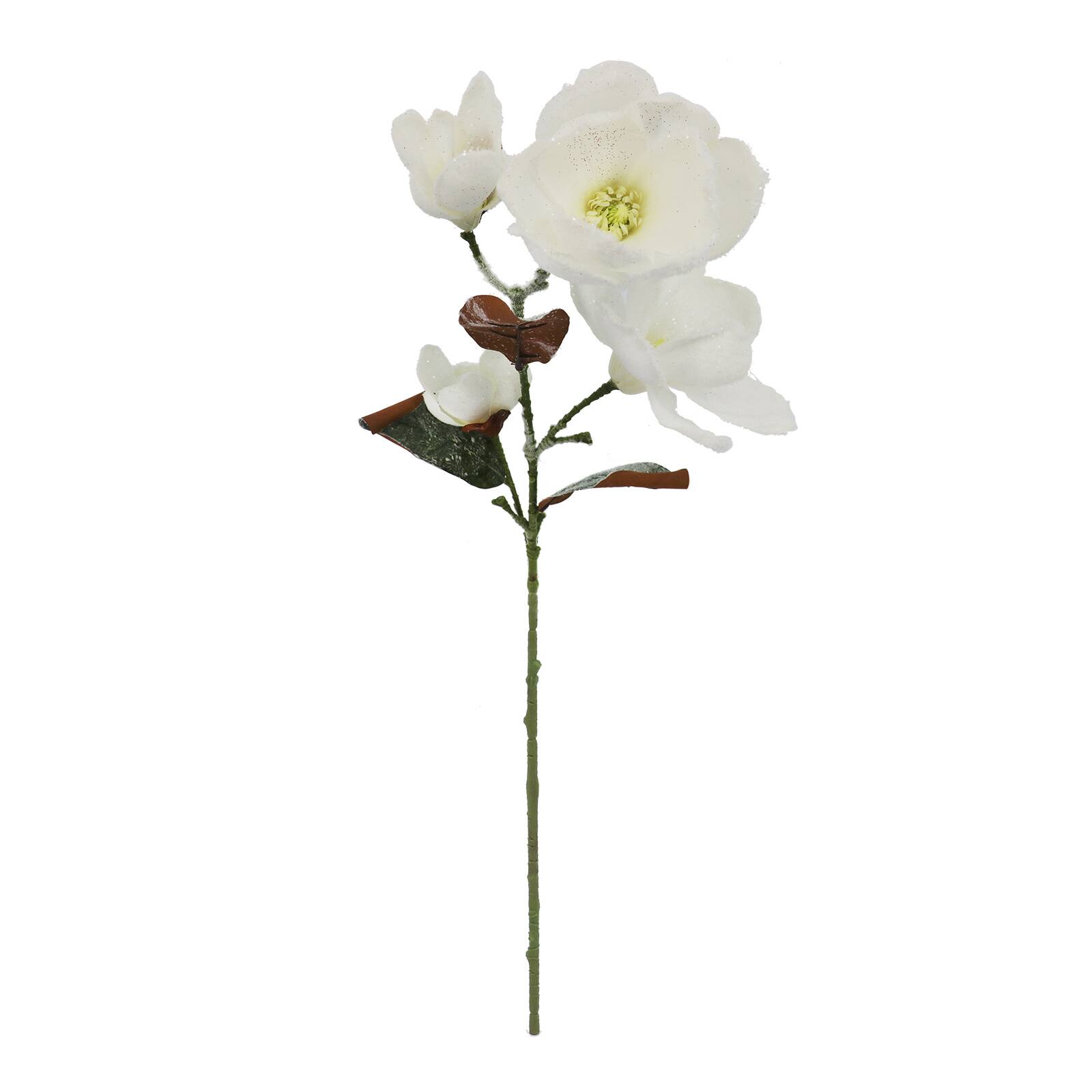 Tige de magnolia blanc neige de 76,2&#xA0;cm d&#x2019;Ashland