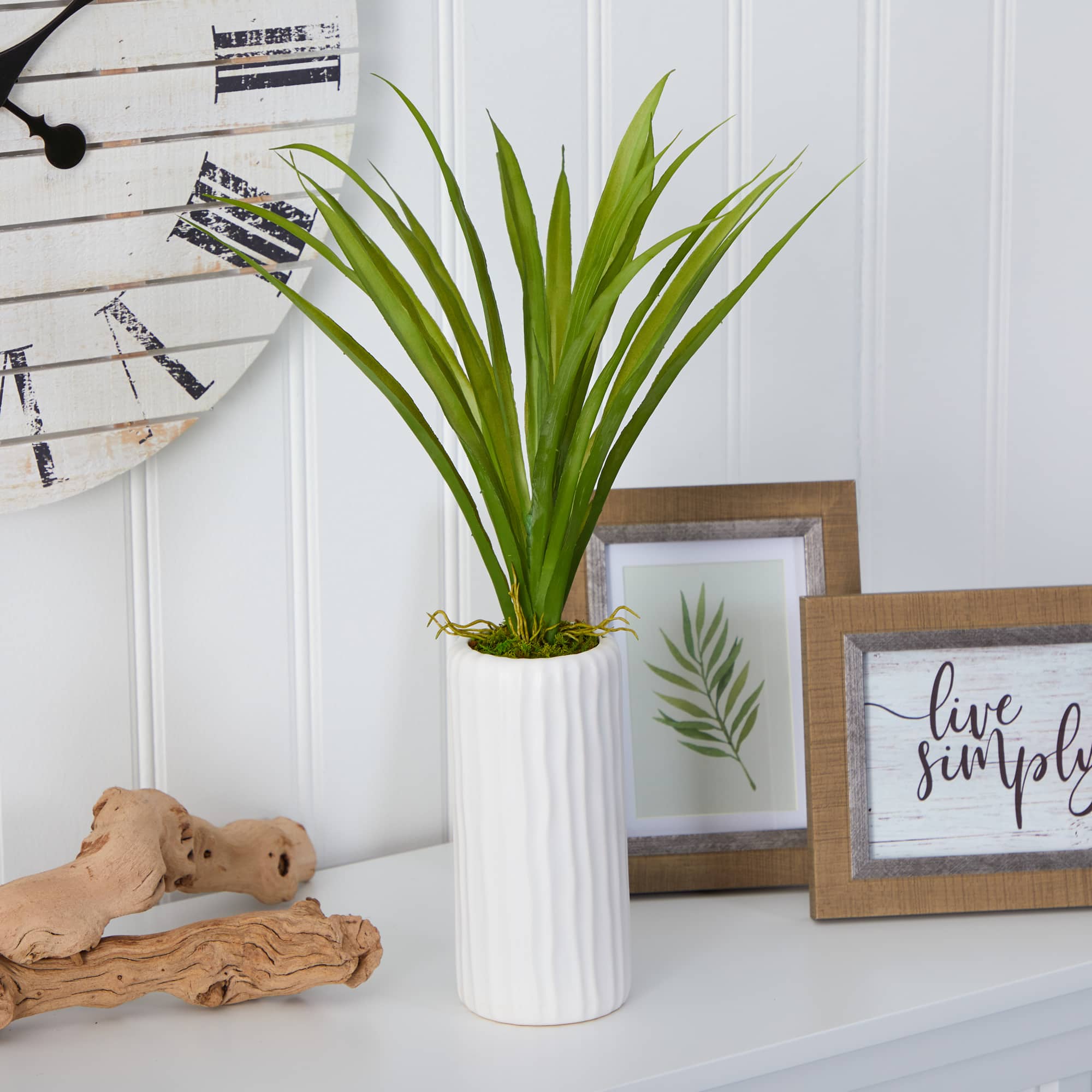 19'' Grass Plant in Tall White Planter