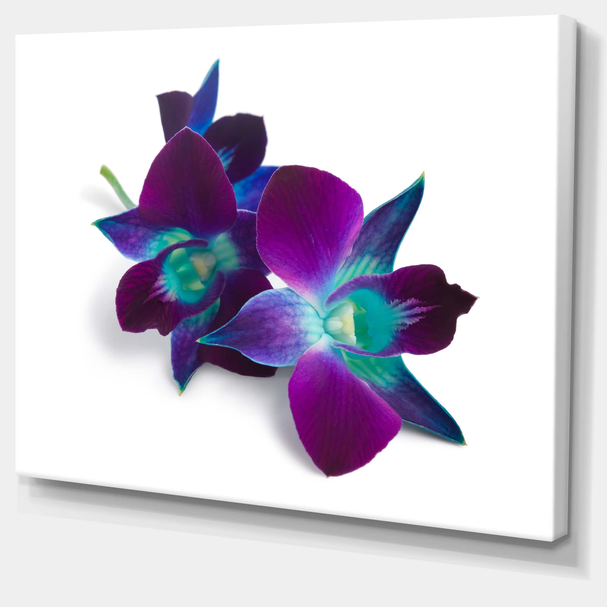Designart - Deep Purple Orchid Flowers on White - Flowers Canvas Wall Artwork
