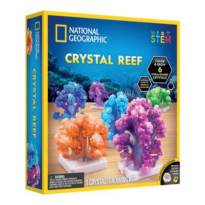 NATIONAL GEOGRAPHIC Crystal Growing Garden - Grow Two Crystal Trees in