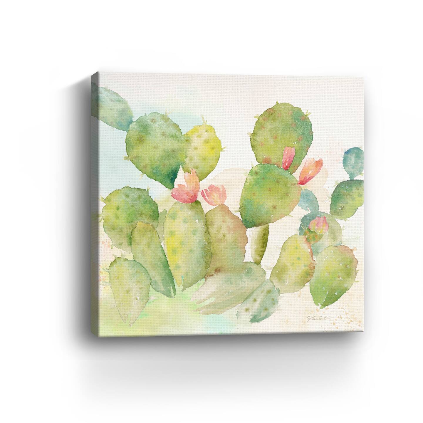 Cactus Garden I Canvas Giclee