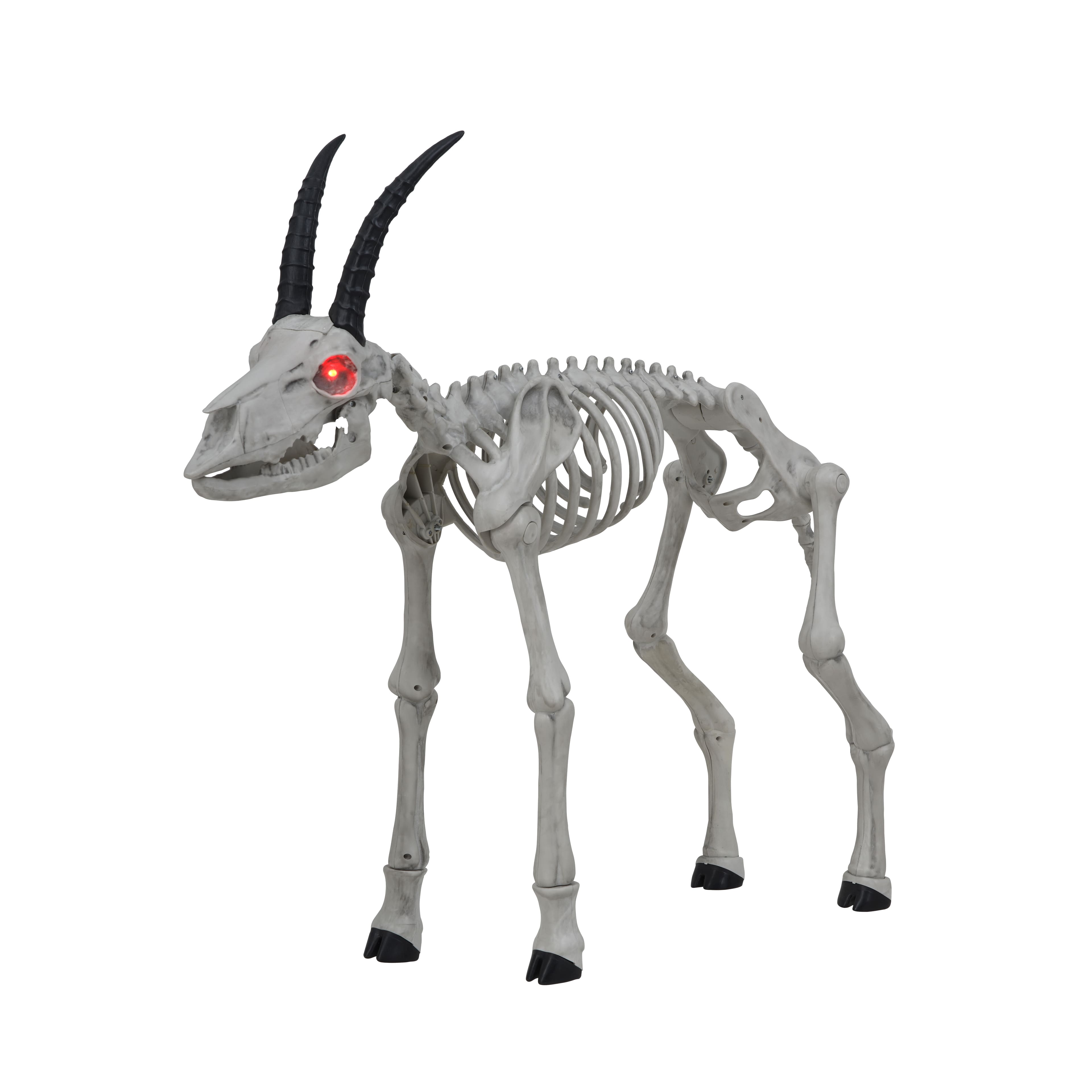 3ft. Animated Goat Skeleton by Ashland&#xAE;