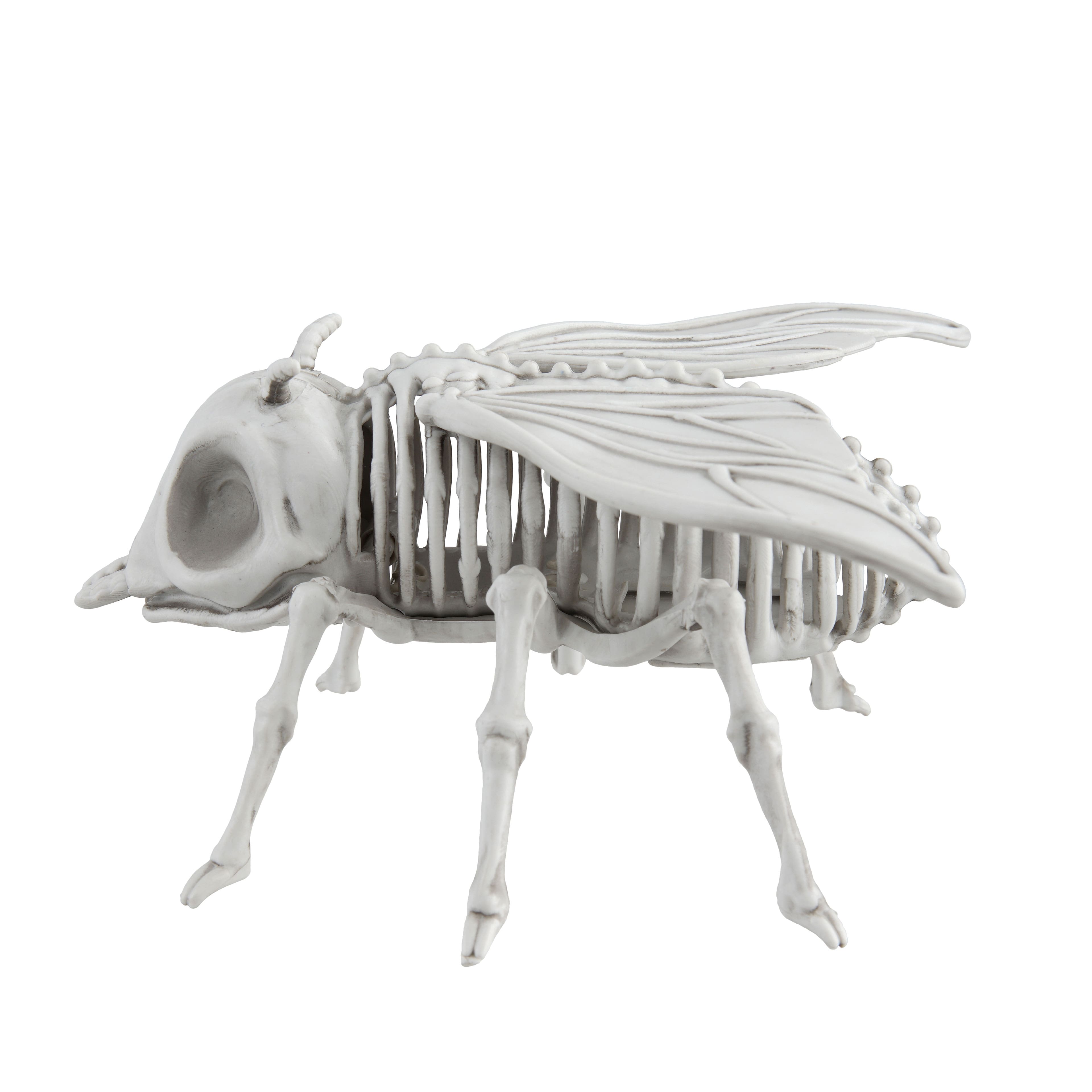 5.25&#x22; Fly Skeleton by Ashland&#xAE;