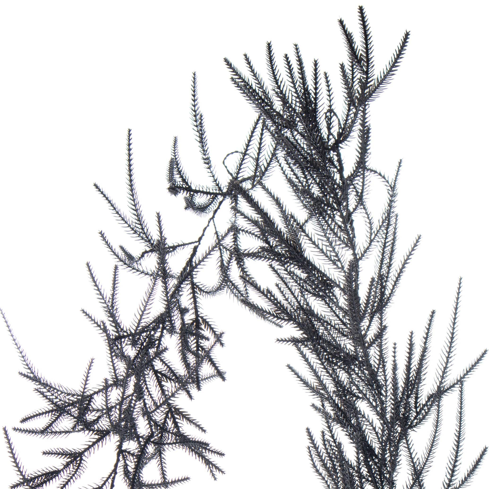 6ft. Norfolk Pine Garland by Ashland®