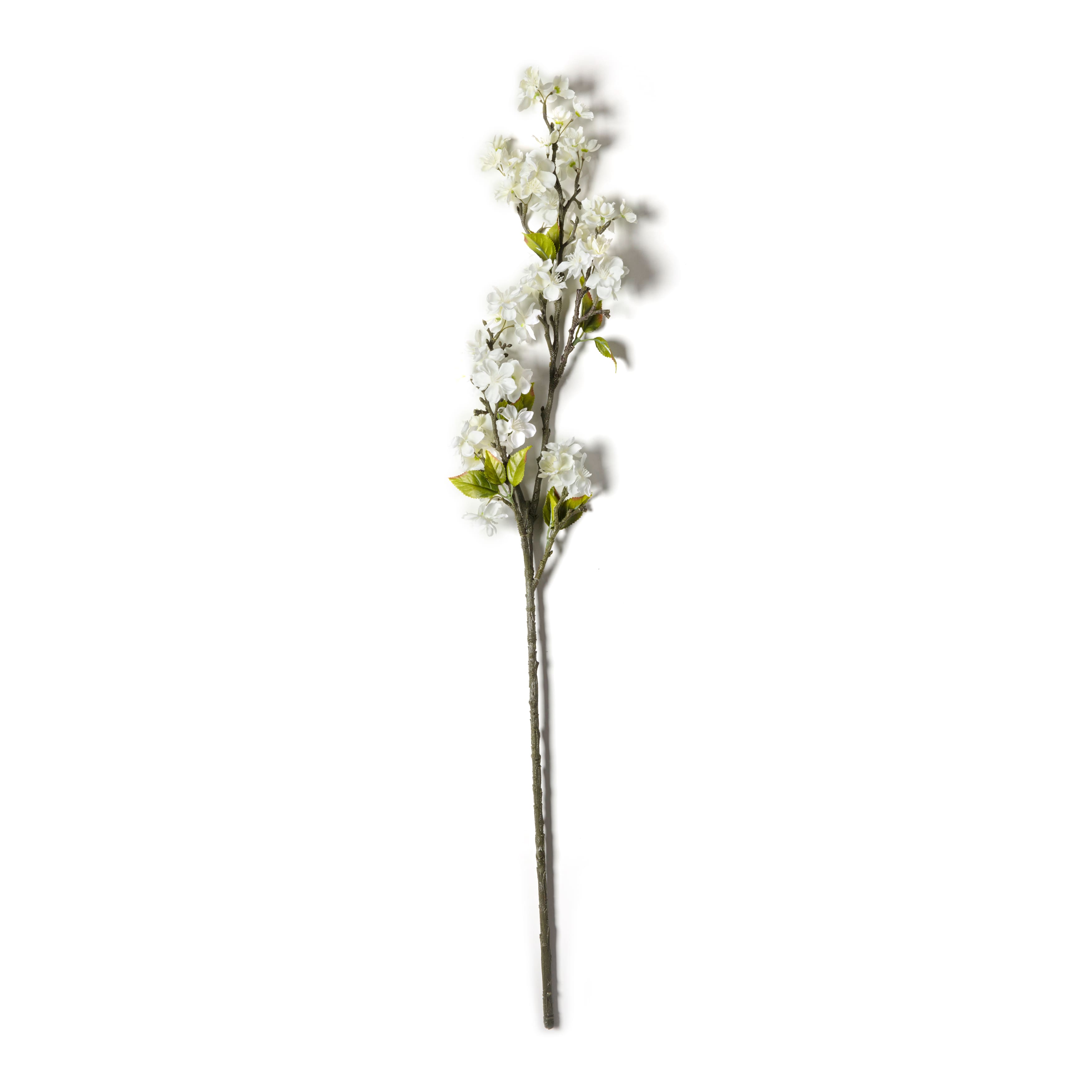 12 Pack: Cream Blossom Spray by Ashland&#xAE;