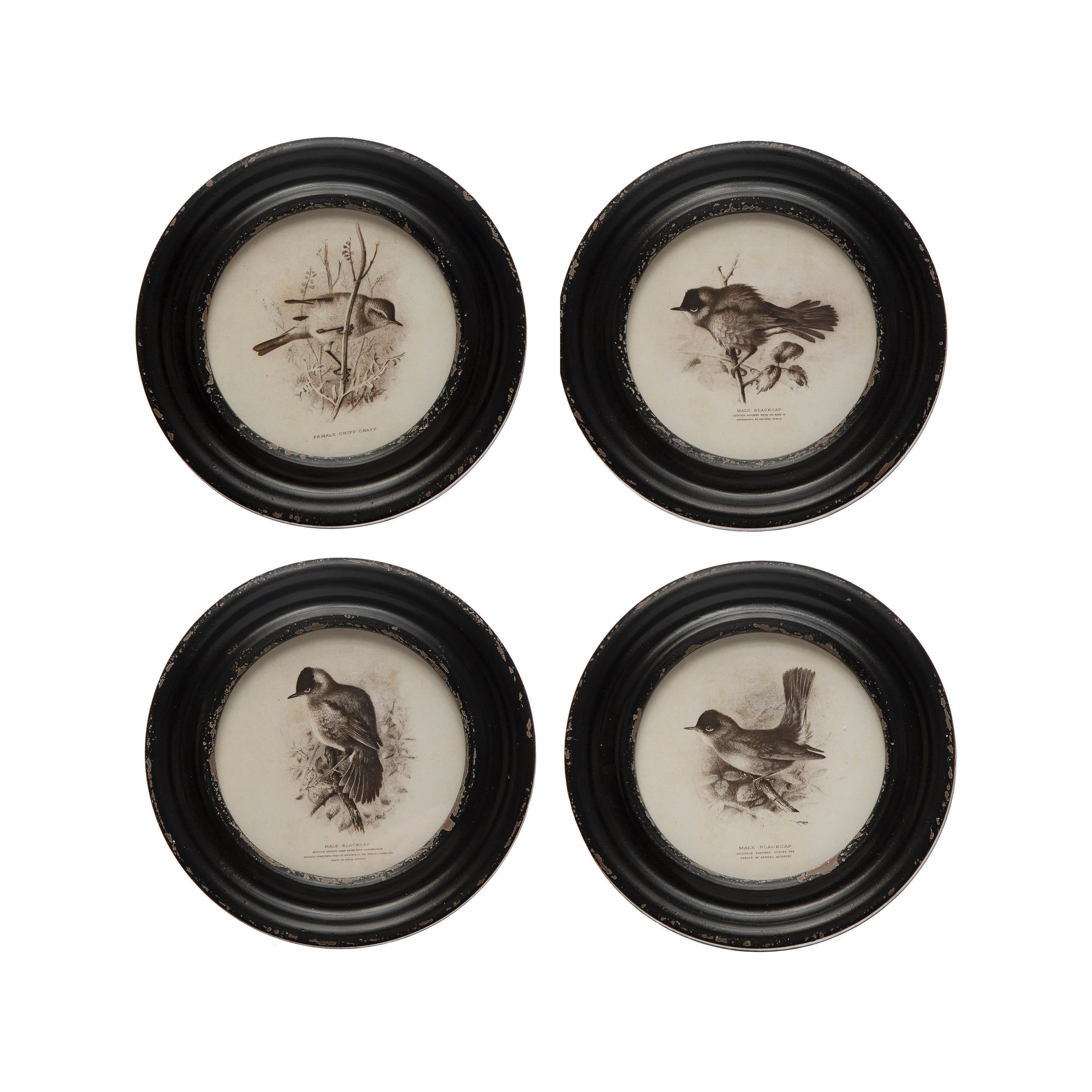 Hello Honey&#xAE; Round Bird Print Wood Framed Set