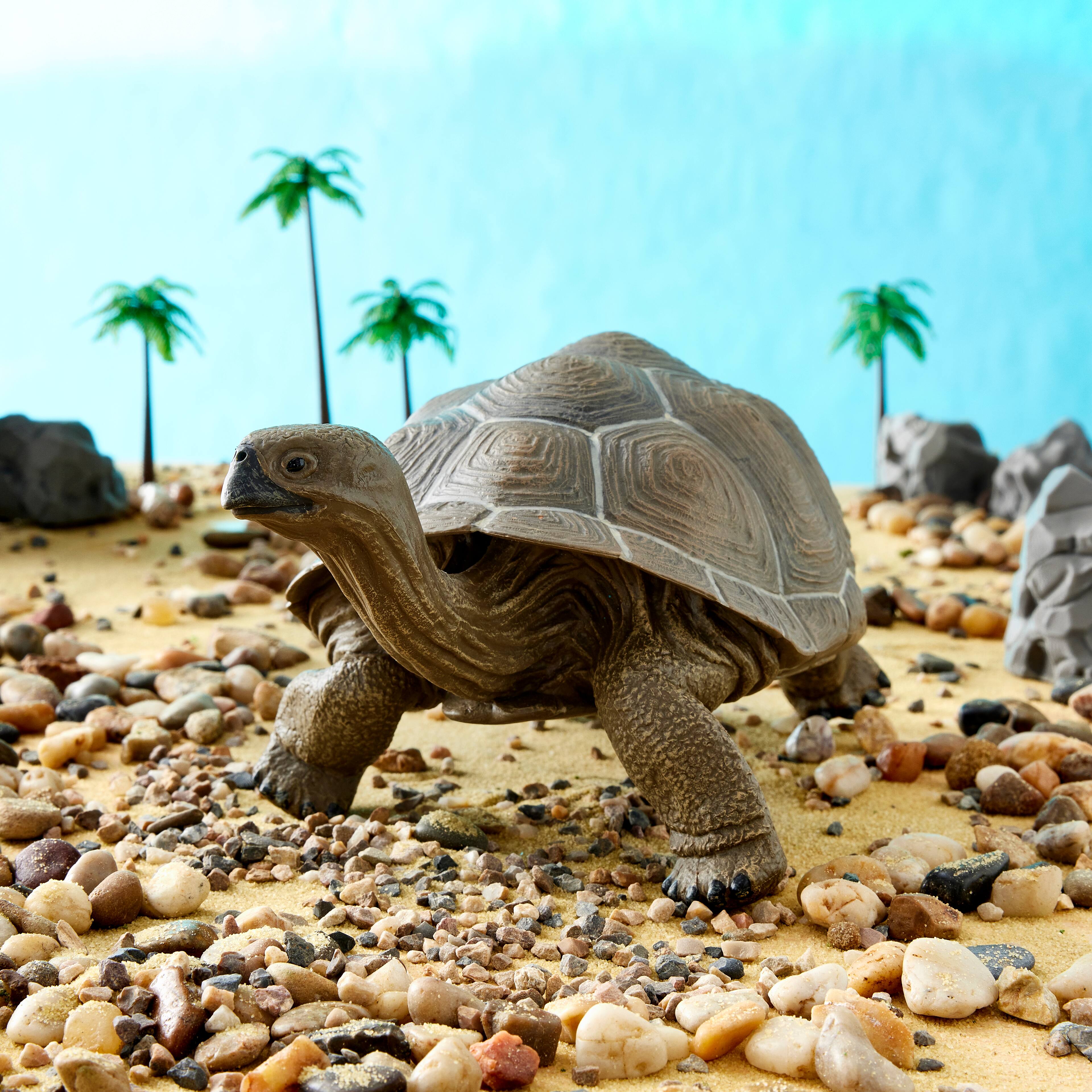 Safari Ltd&#xAE; Galapagos Tortoise
