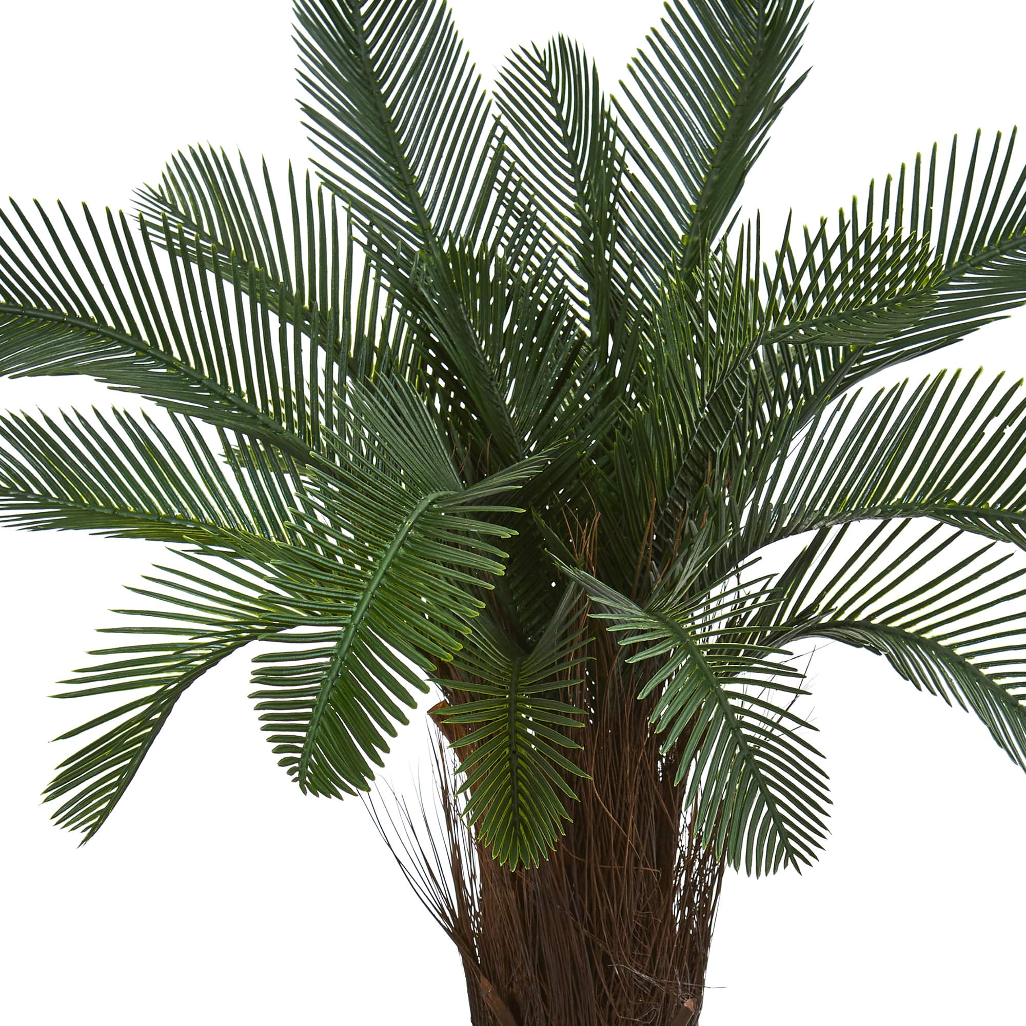 3.5ft. Cycas Tree in White Tower Planter