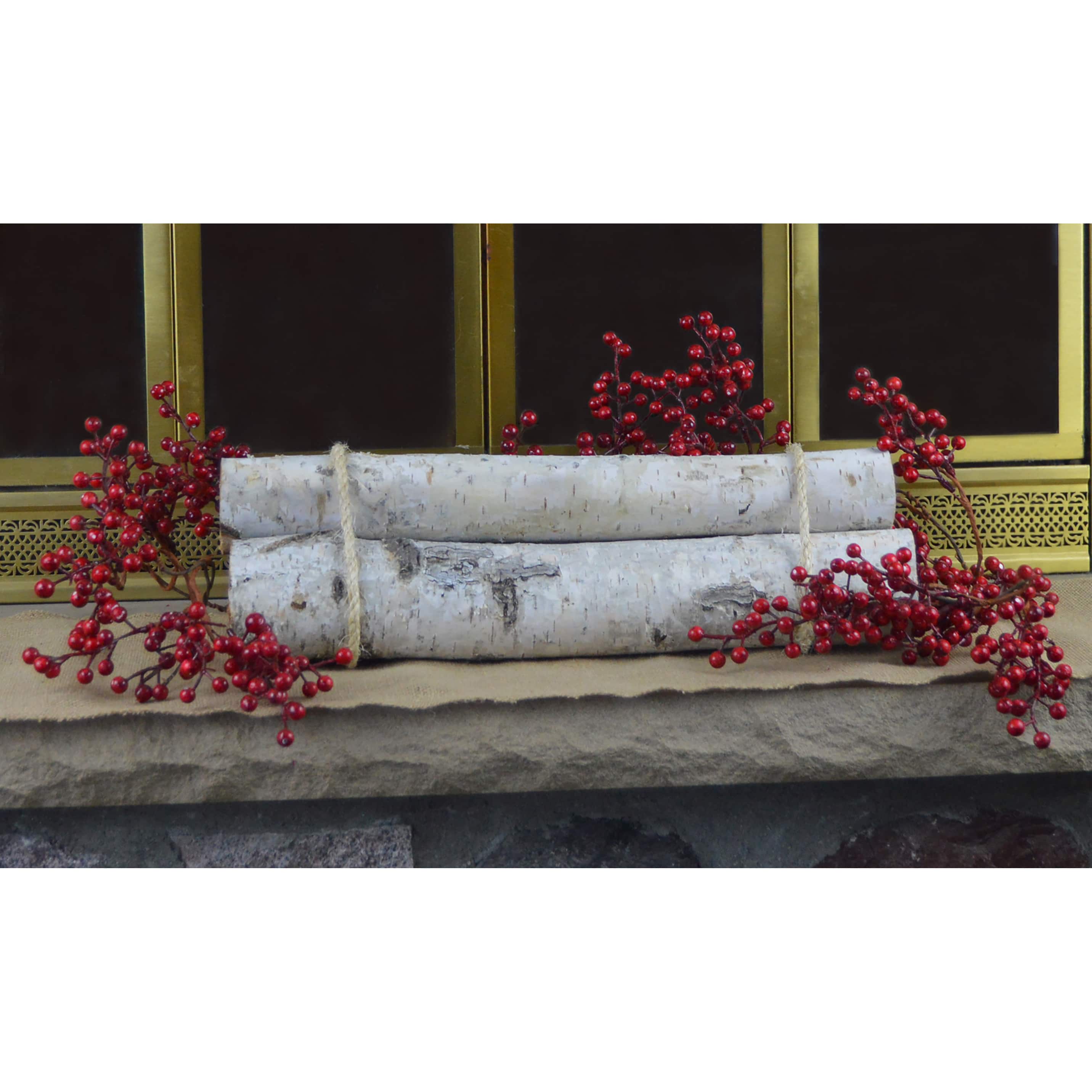 Wilson&#xAE; Enterprises Roped Birch Bundle Set