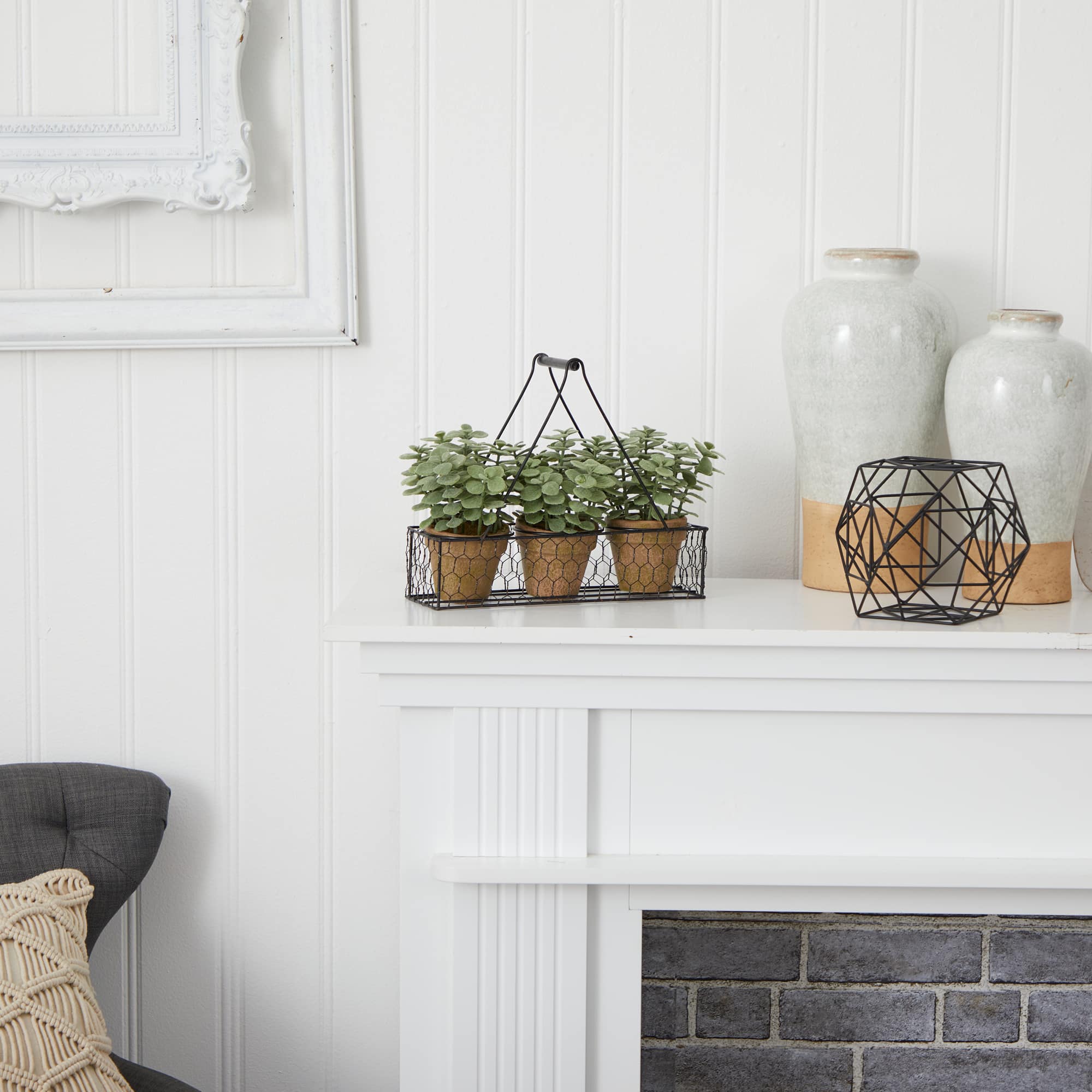 7" Potted Jade Garden Plants in Hanging Wire Planter