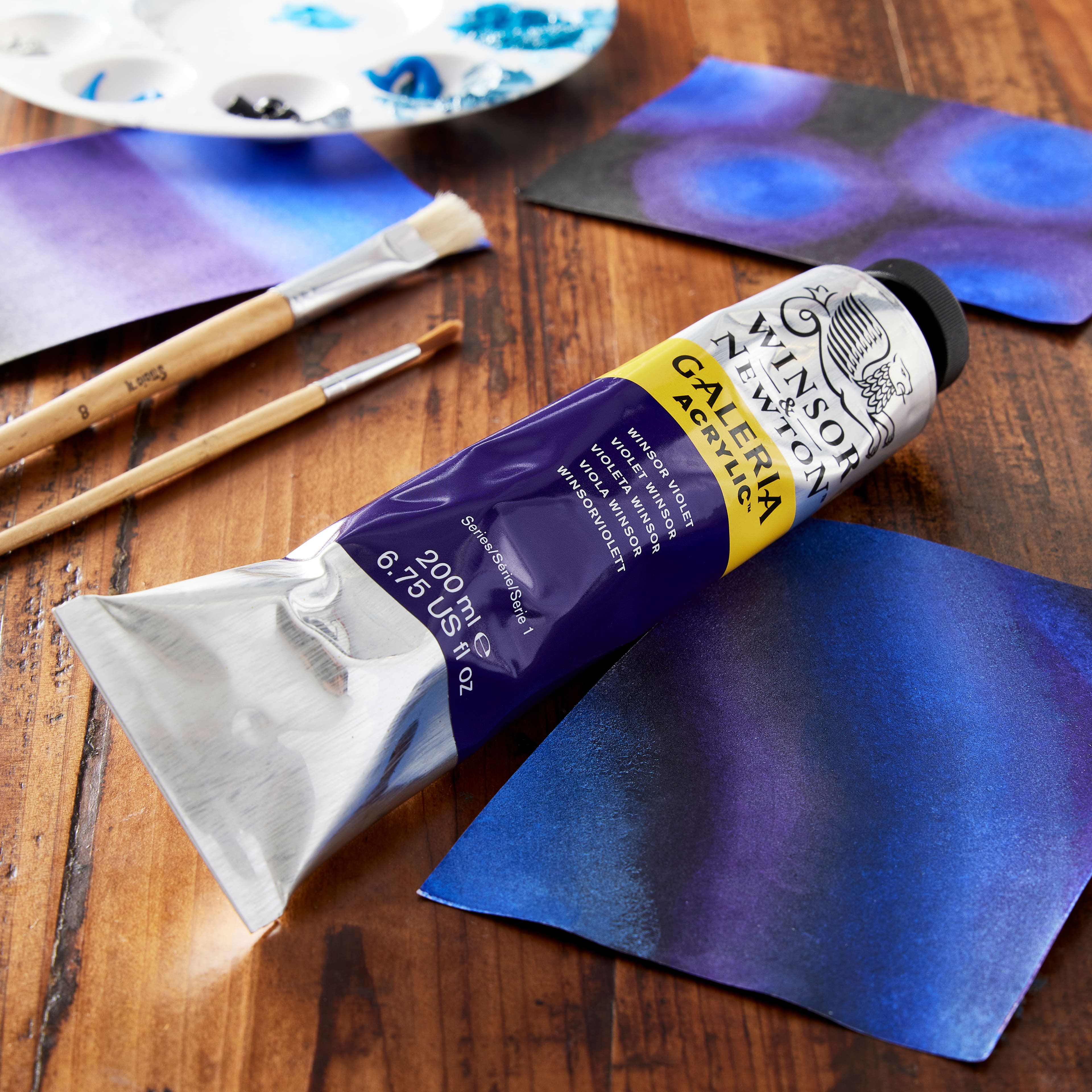 12 Pack: Winsor &#x26; Newton&#x2122; Galeria Acrylic&#x2122; Paint, 200mL