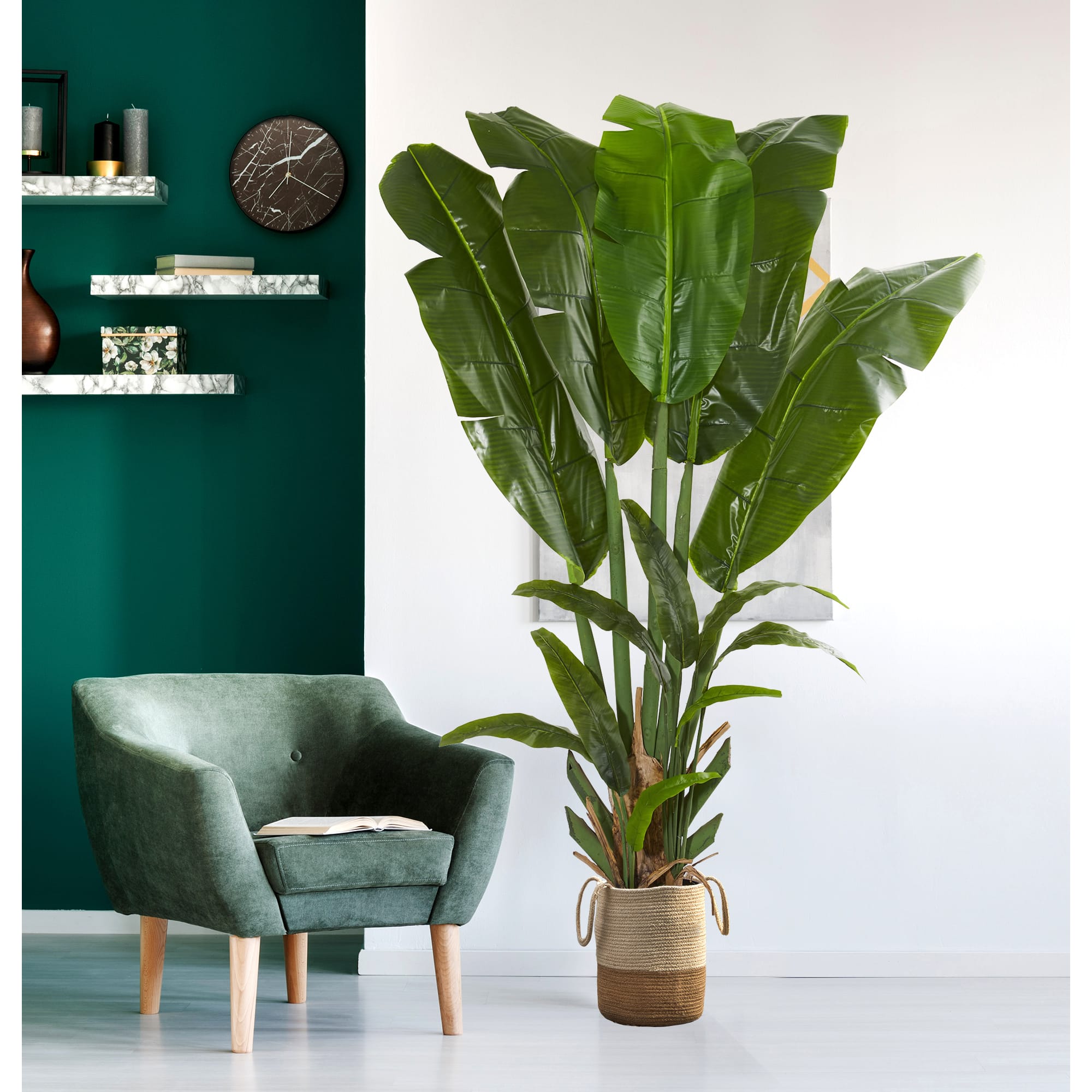 8.5ft. Potted Giant Travelers Palm Tree