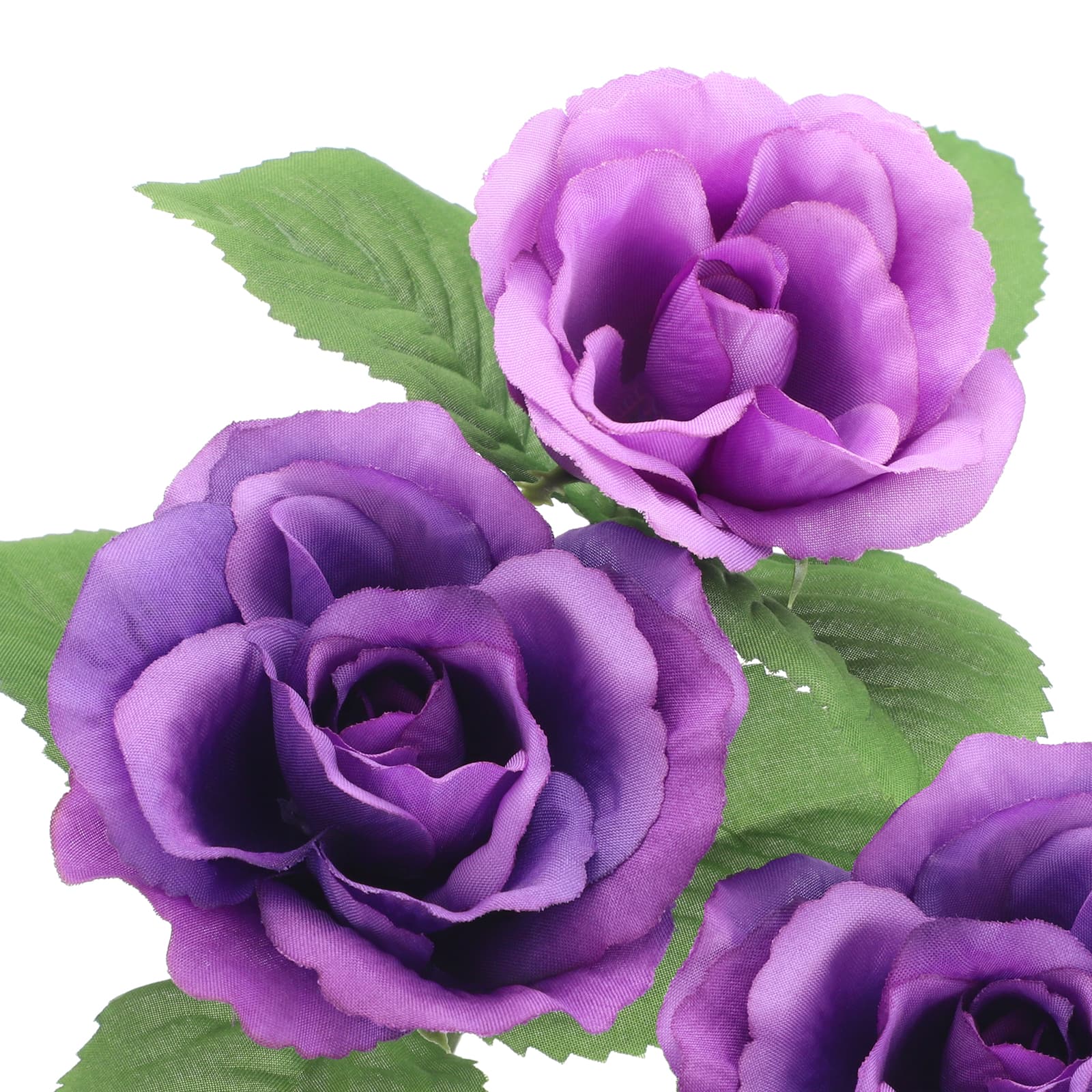 Purple Rose Bush by Ashland&#xAE;