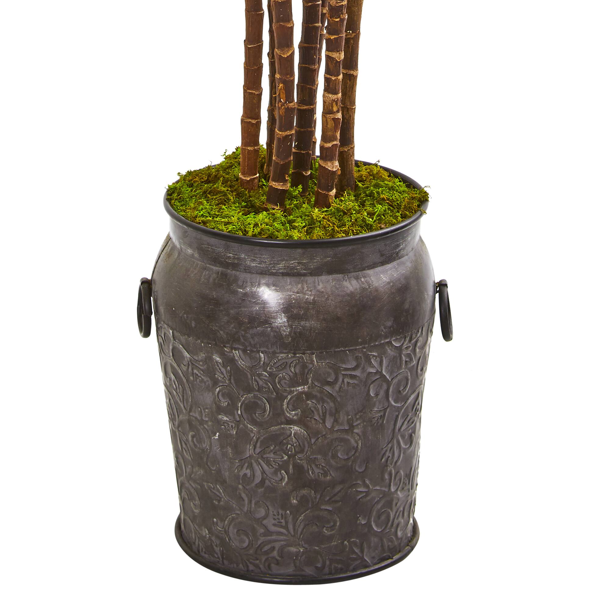 6ft. Yucca Tree in Decorative Planter