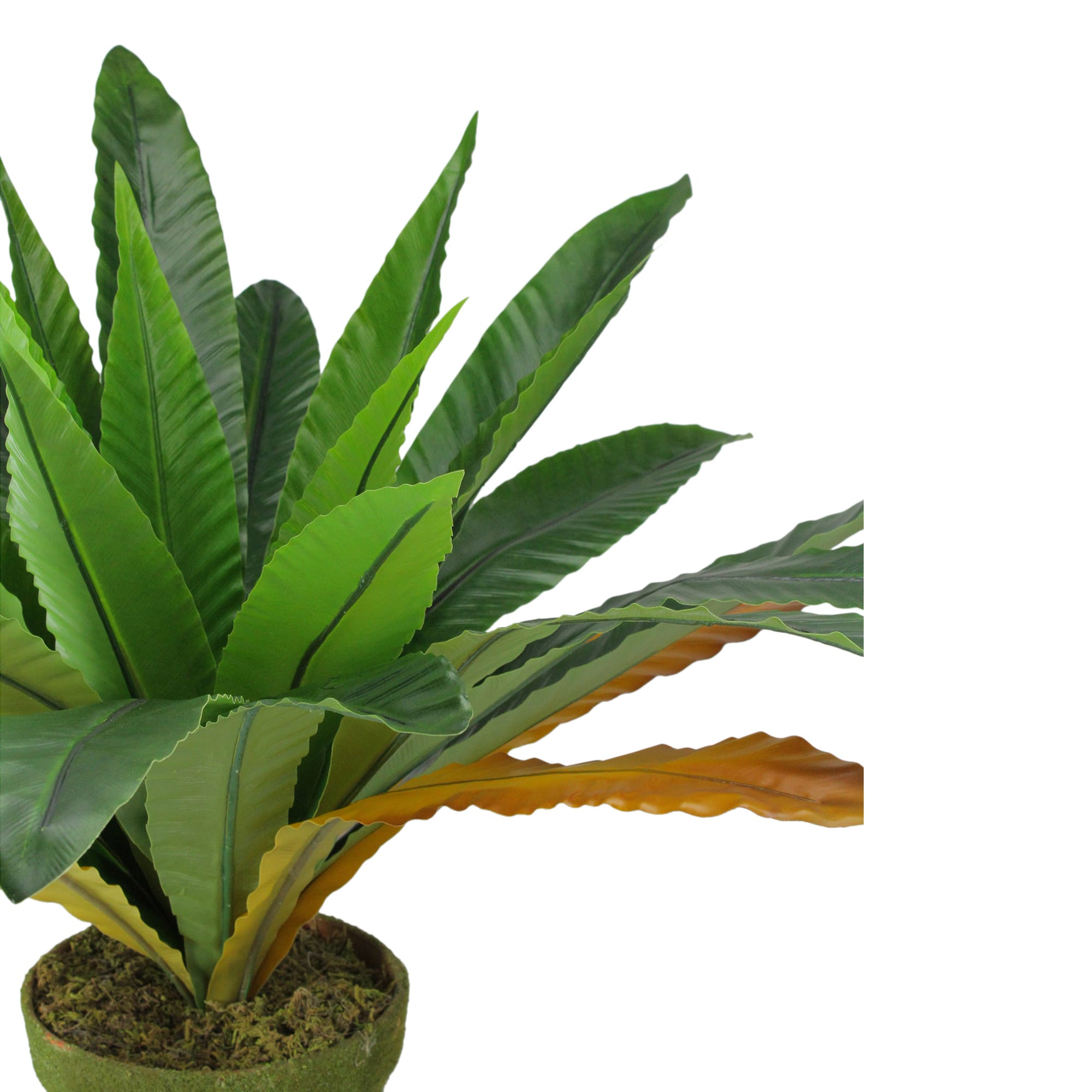 22" Potted Artificial Green & Brown Bird Nest Fern