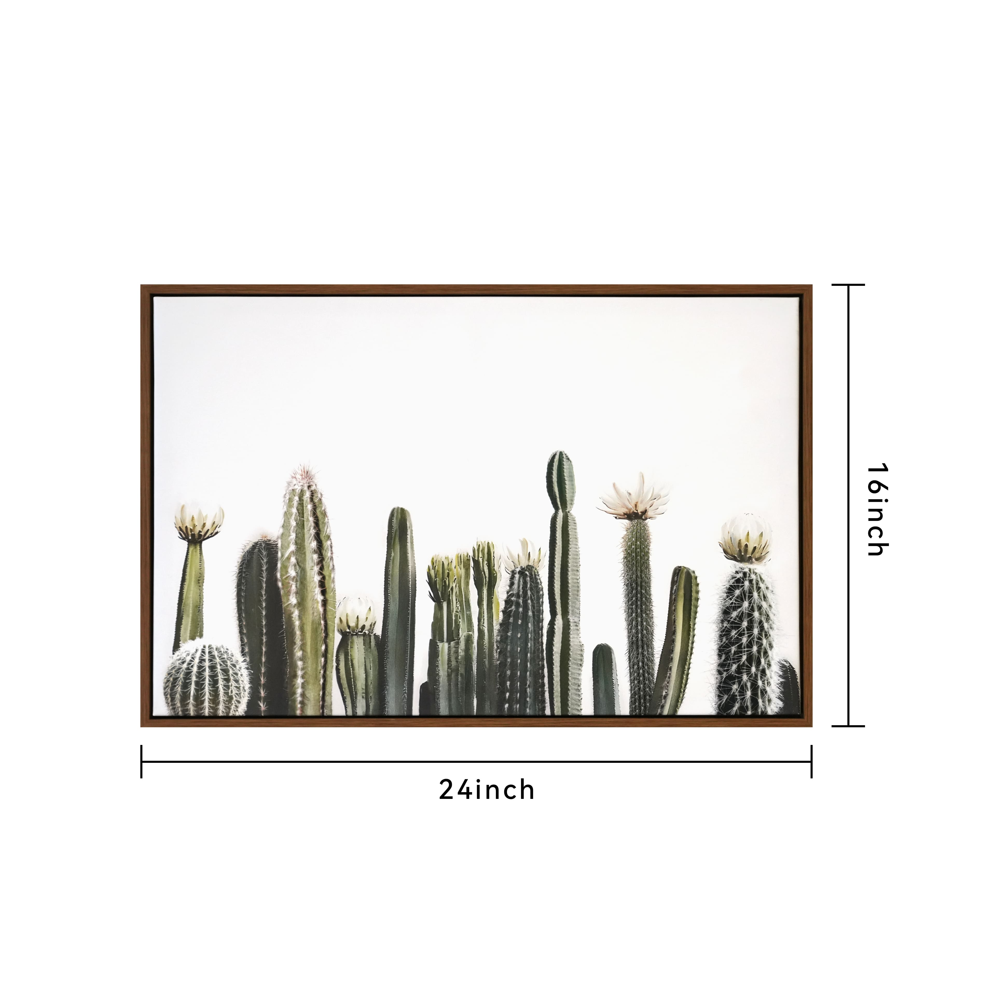 24&#x22; Cacti on White Background Wall Canvas by Ashland&#xAE;