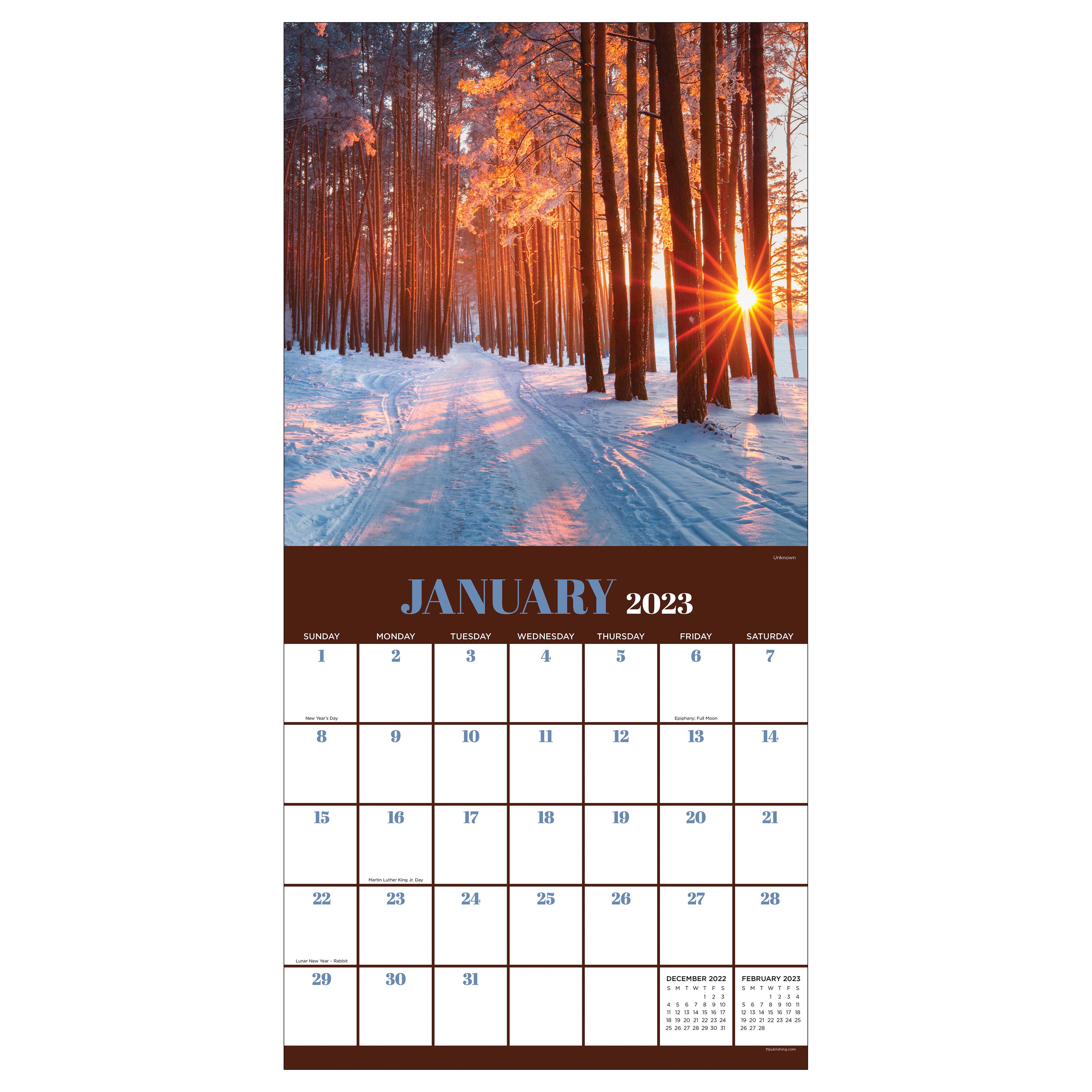 TF Publishing 2023 Trees Wall Calendar Wall Calendars Michaels