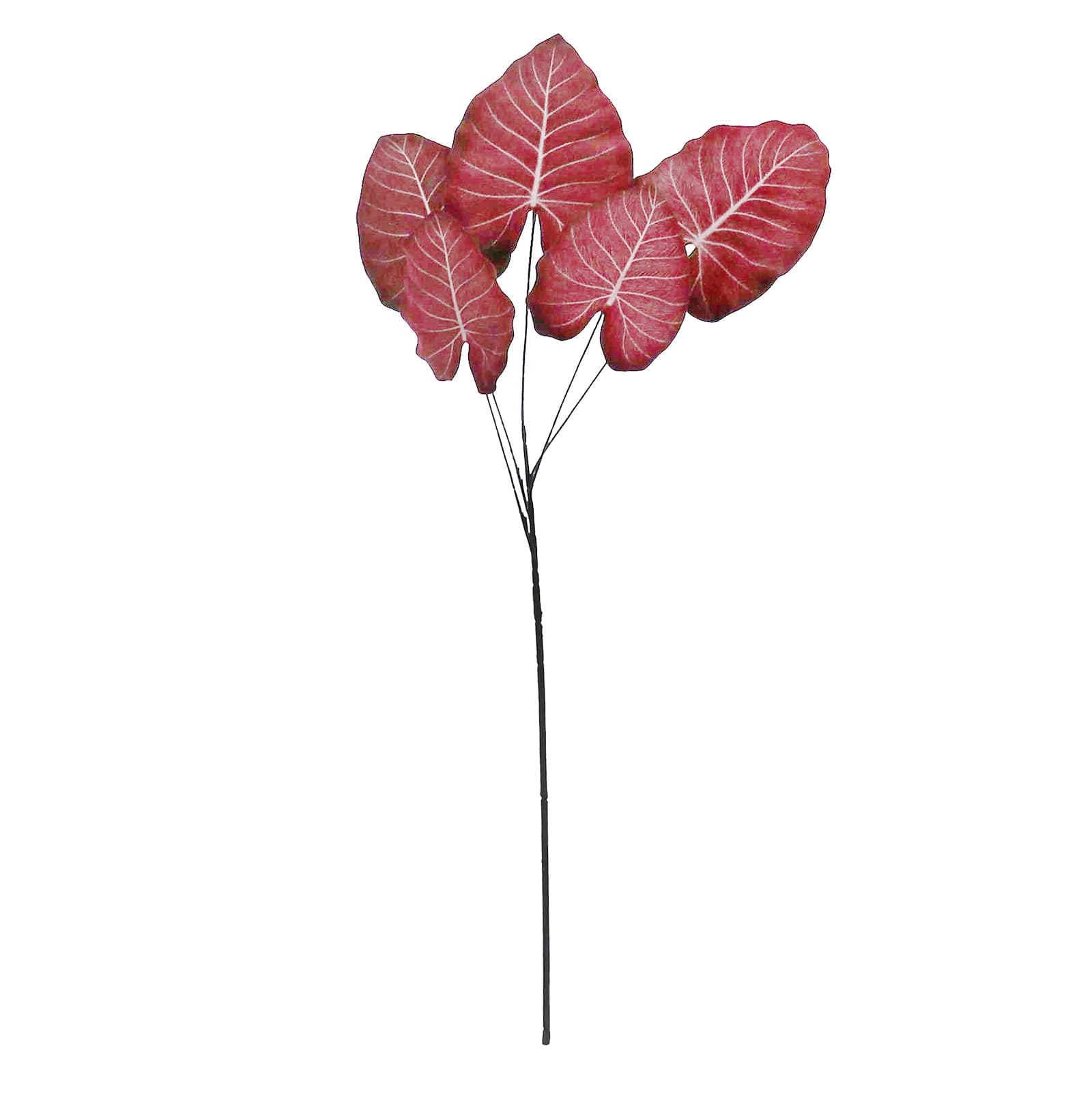 3ft. Burgundy Dasheen Velvet Stem by Ashland&#xAE;