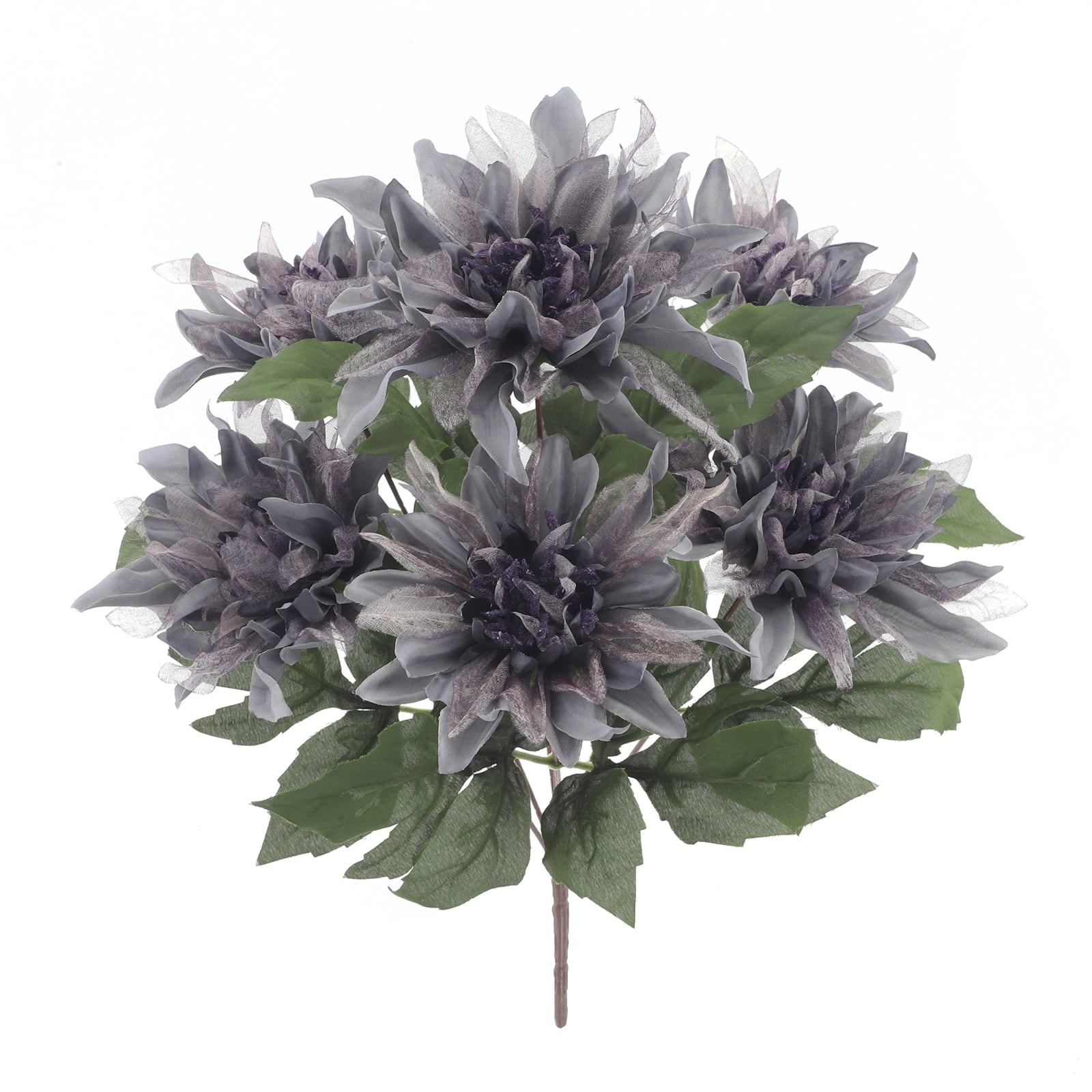 17&#x22; Dark Gray Halloween Dahlia Bush by Ashland&#xAE;