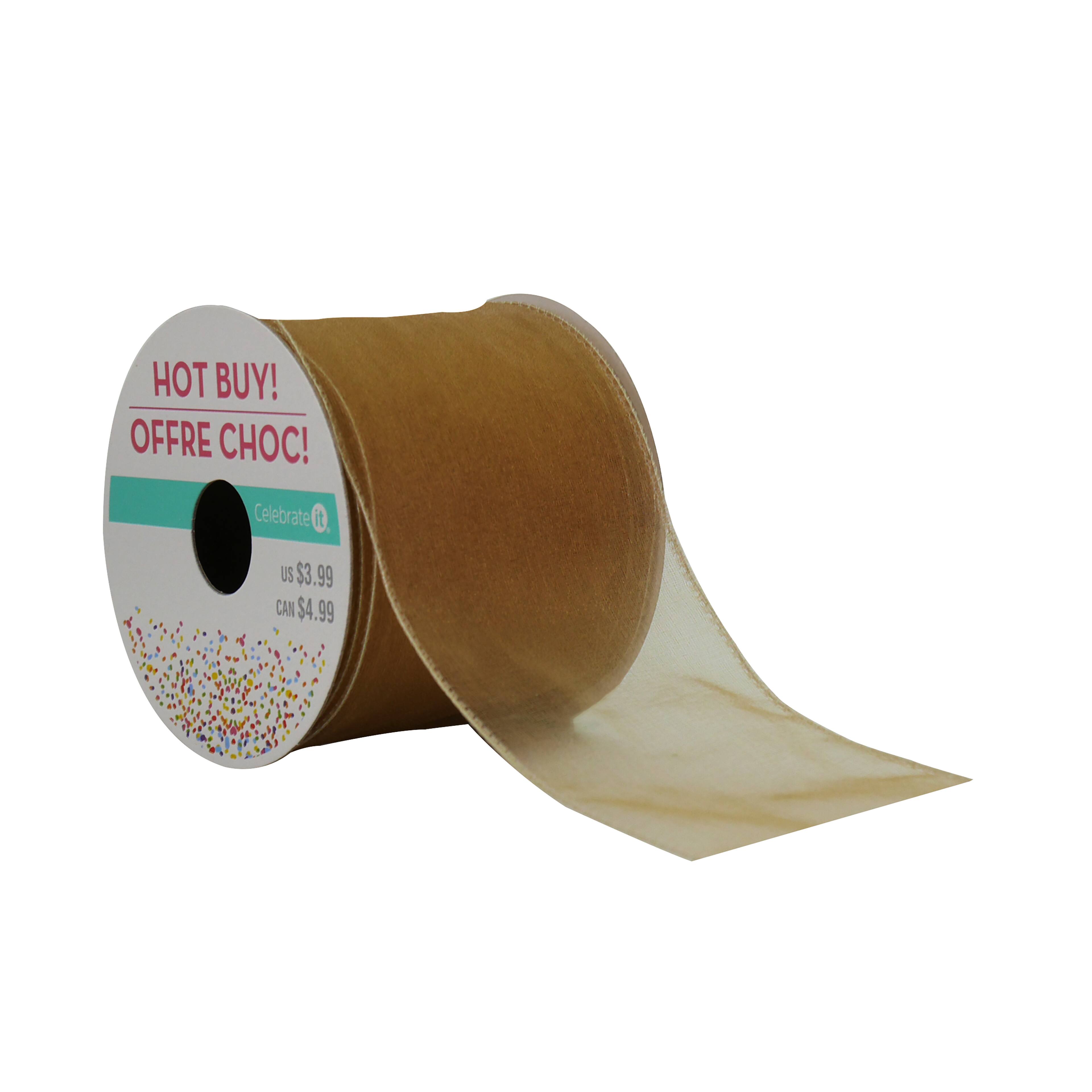 2.5&#x22; x 3yd. Sheer Wired Ribbon by Celebrate It&#xAE; Hot Buy!