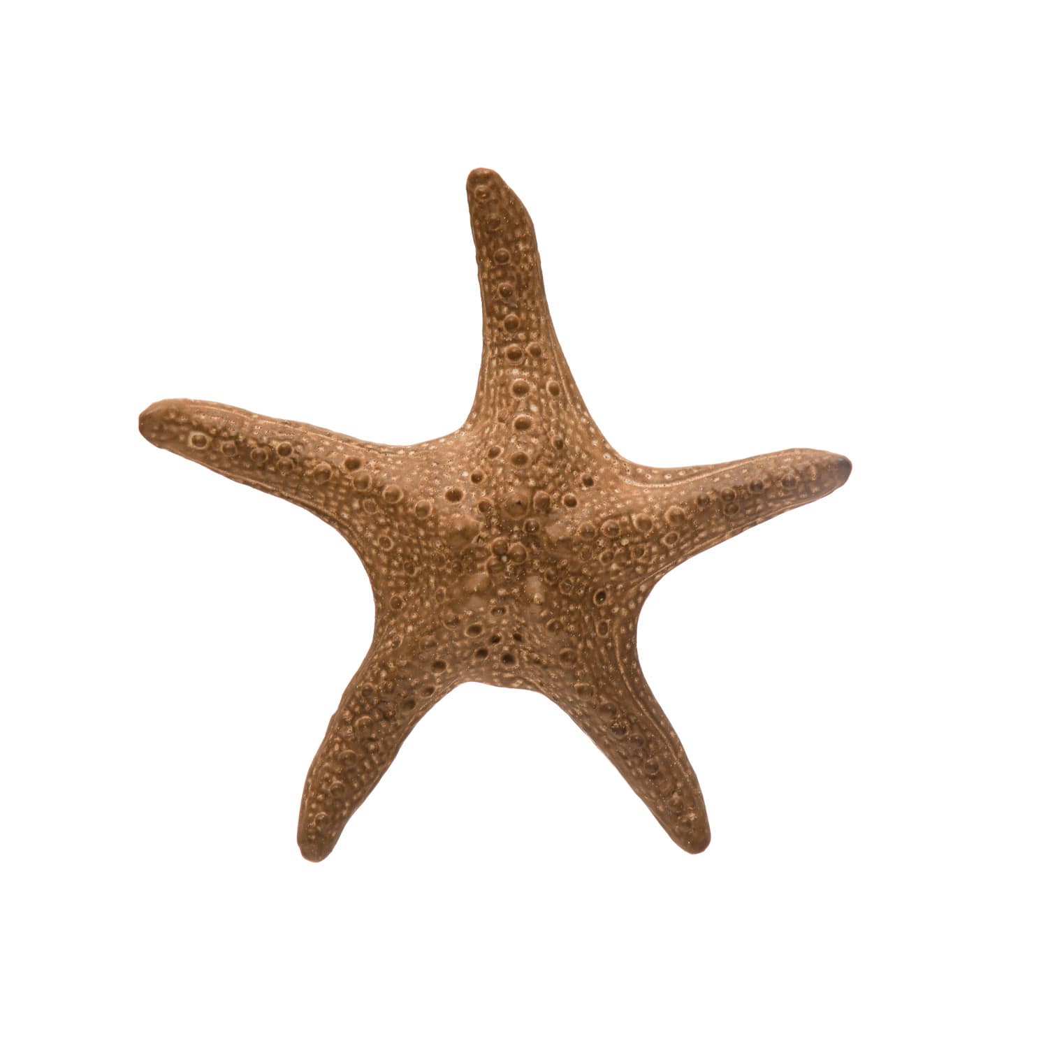 Hello Honey&#xAE; 11&#x22; Brown Stoneware Starfish Decoration