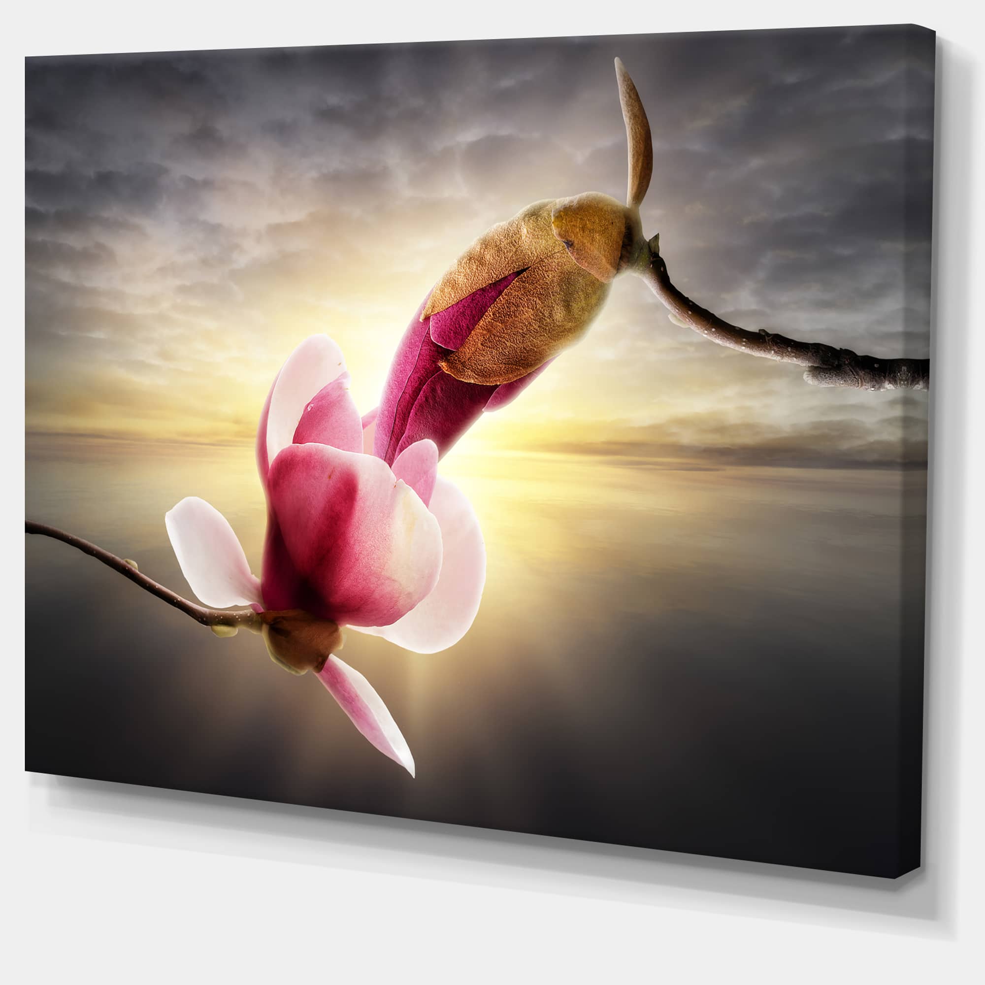 Designart - Beautiful Magnolia Flowers - Floral Canvas Art Print
