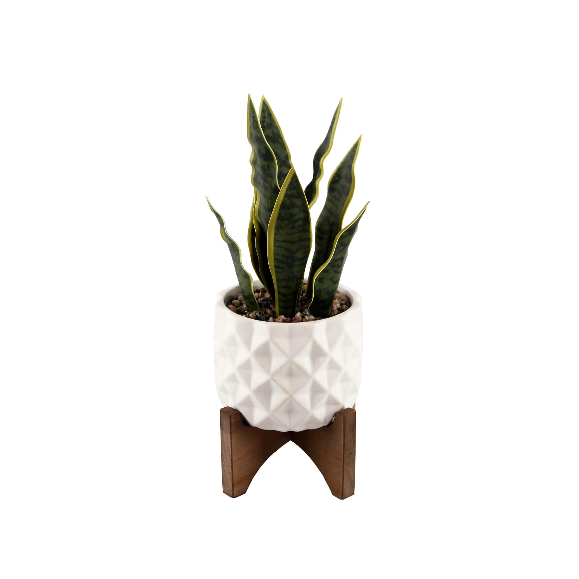 Flora Bunda® 12.5" Snake Plant in Ceramic Planter with Stand