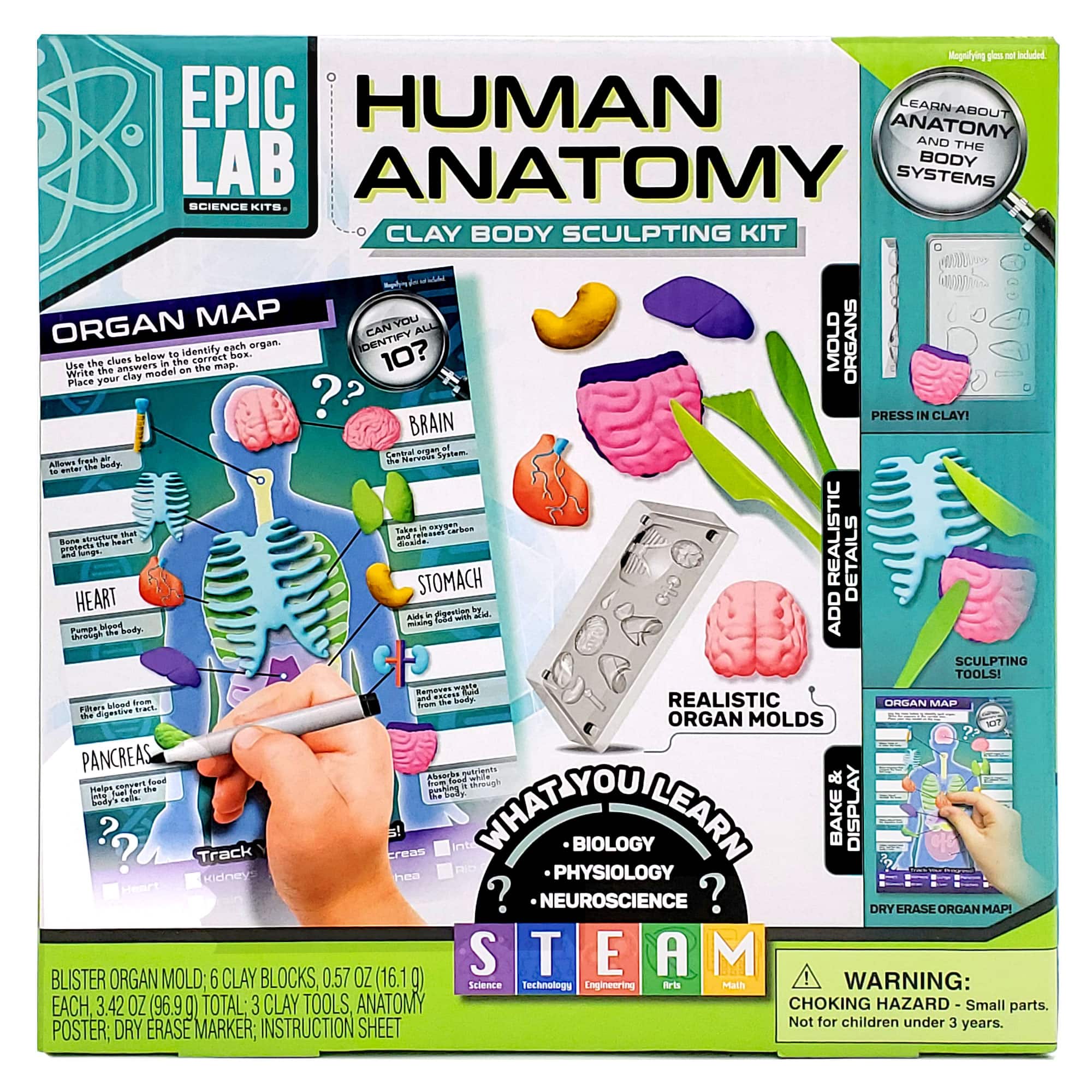 ArtSkills&#xAE; Epic Lab Human Anatomy STEM Kit