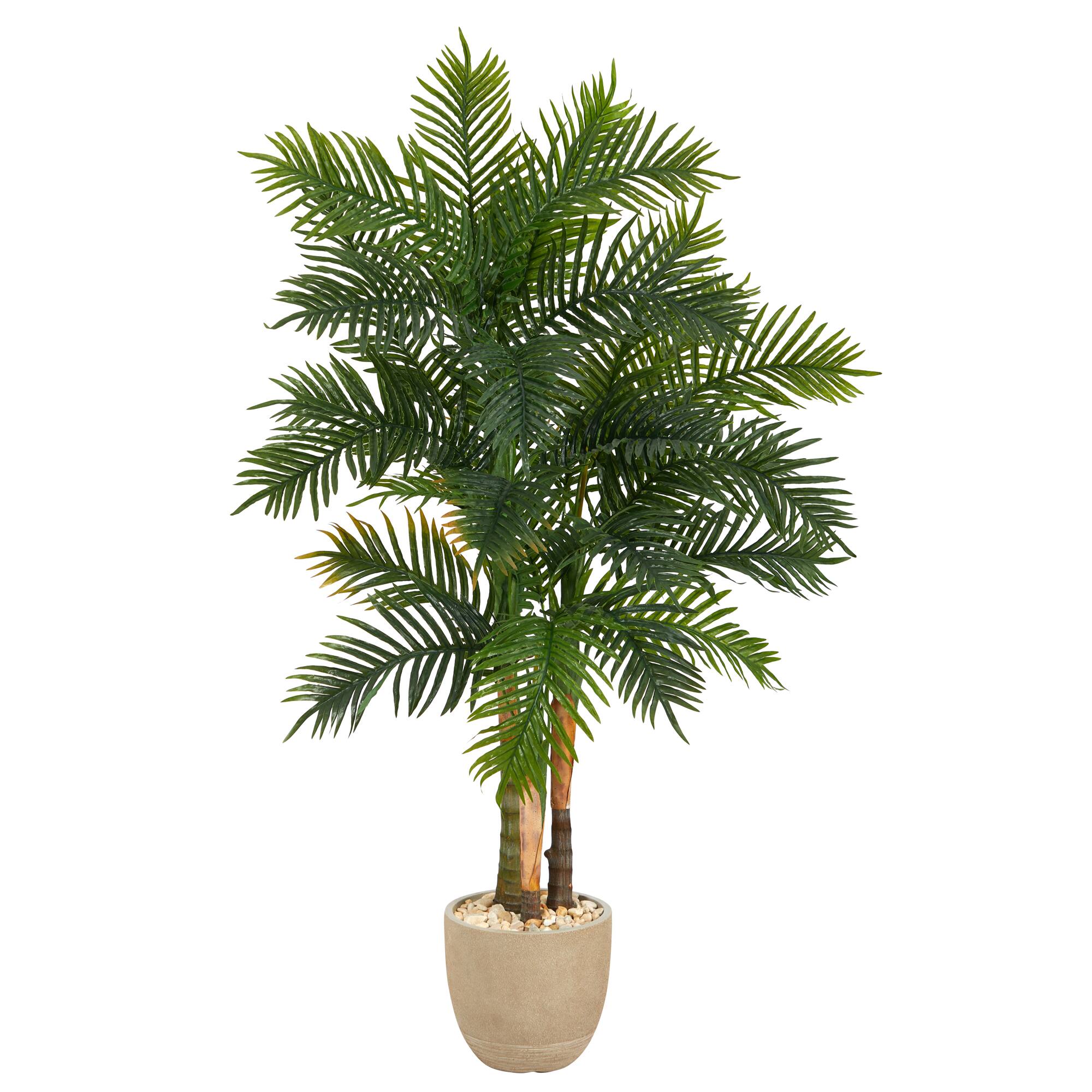 5ft. Areca Palm Tree in Sandstone Planter