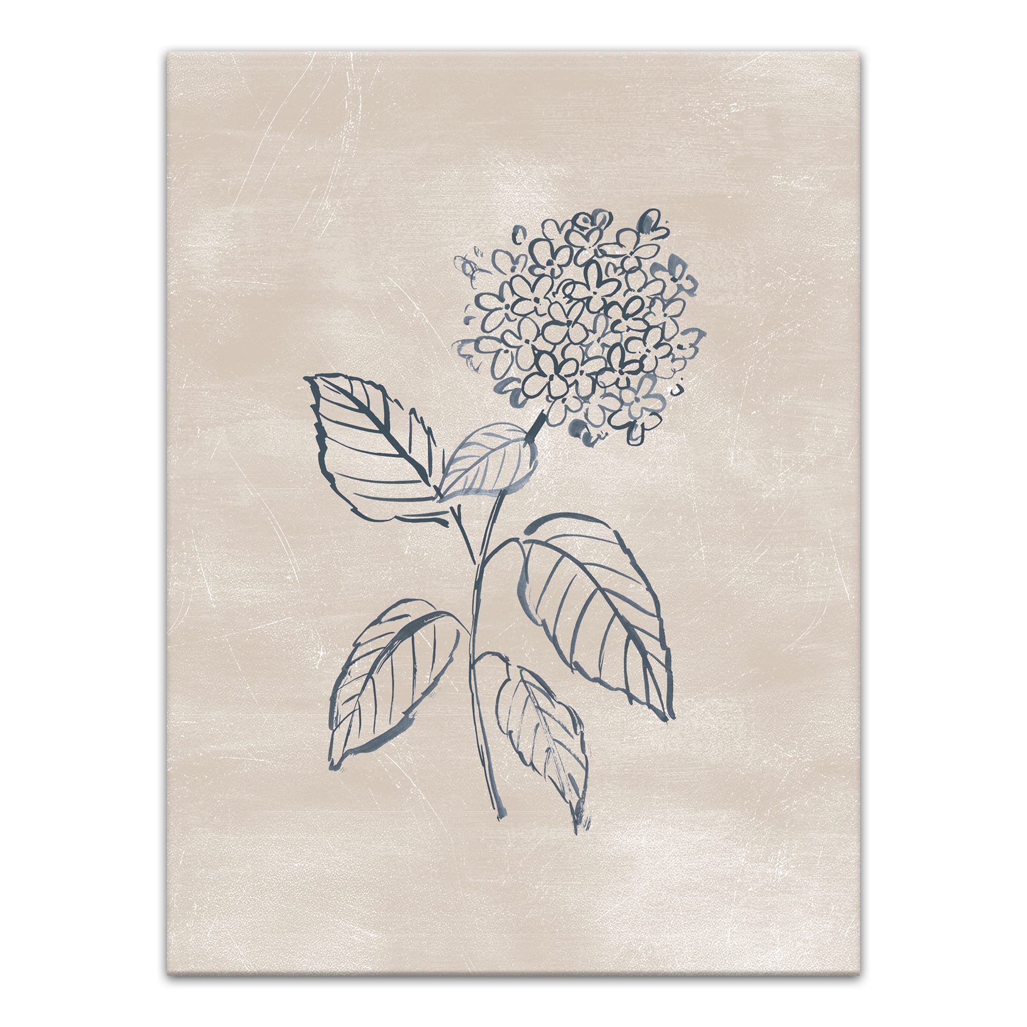 Blye Hydrangea Drawing 12&#x22; x 16&#x22; Canvas Wall Art