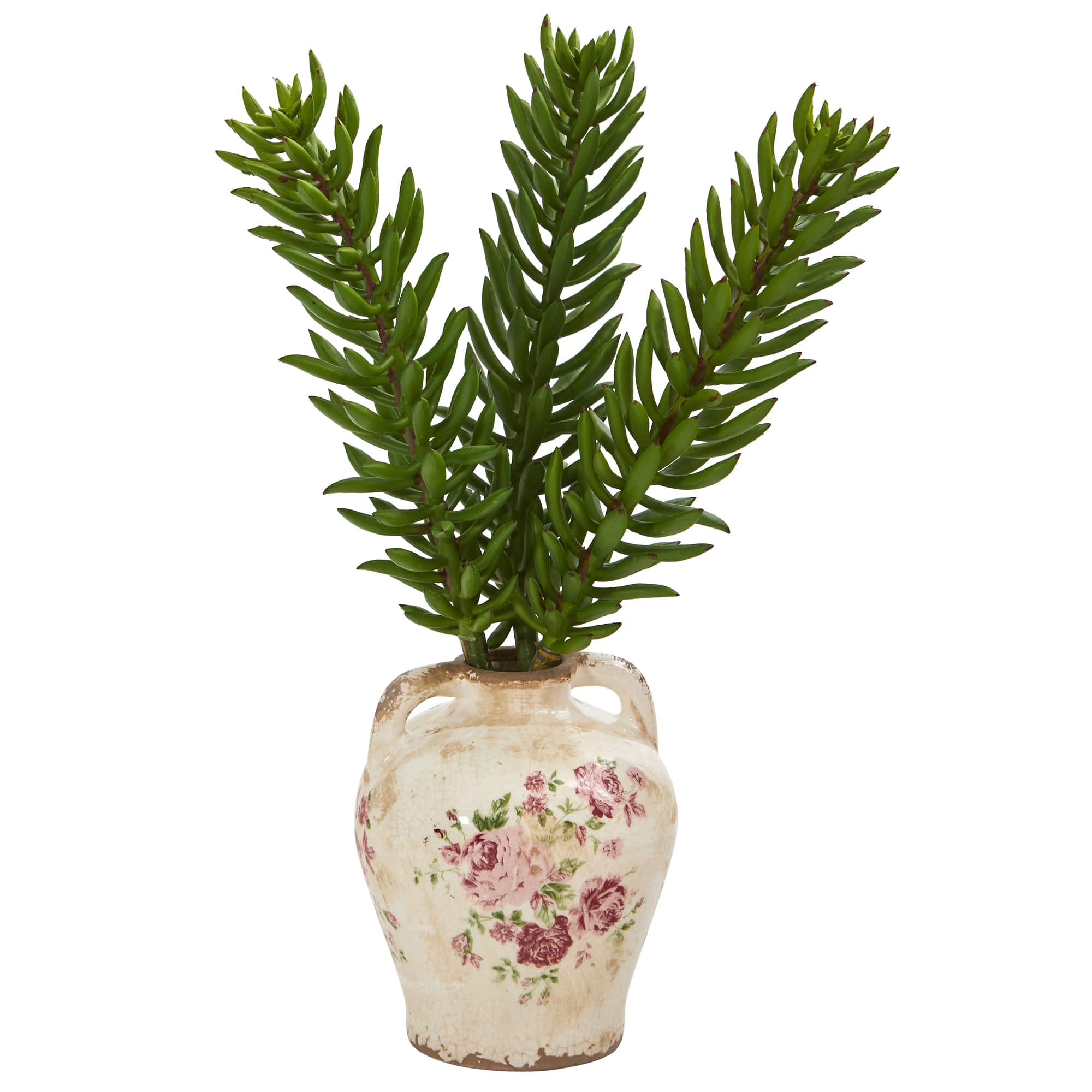 20&#x22; Succulent Plant in Floral Jar