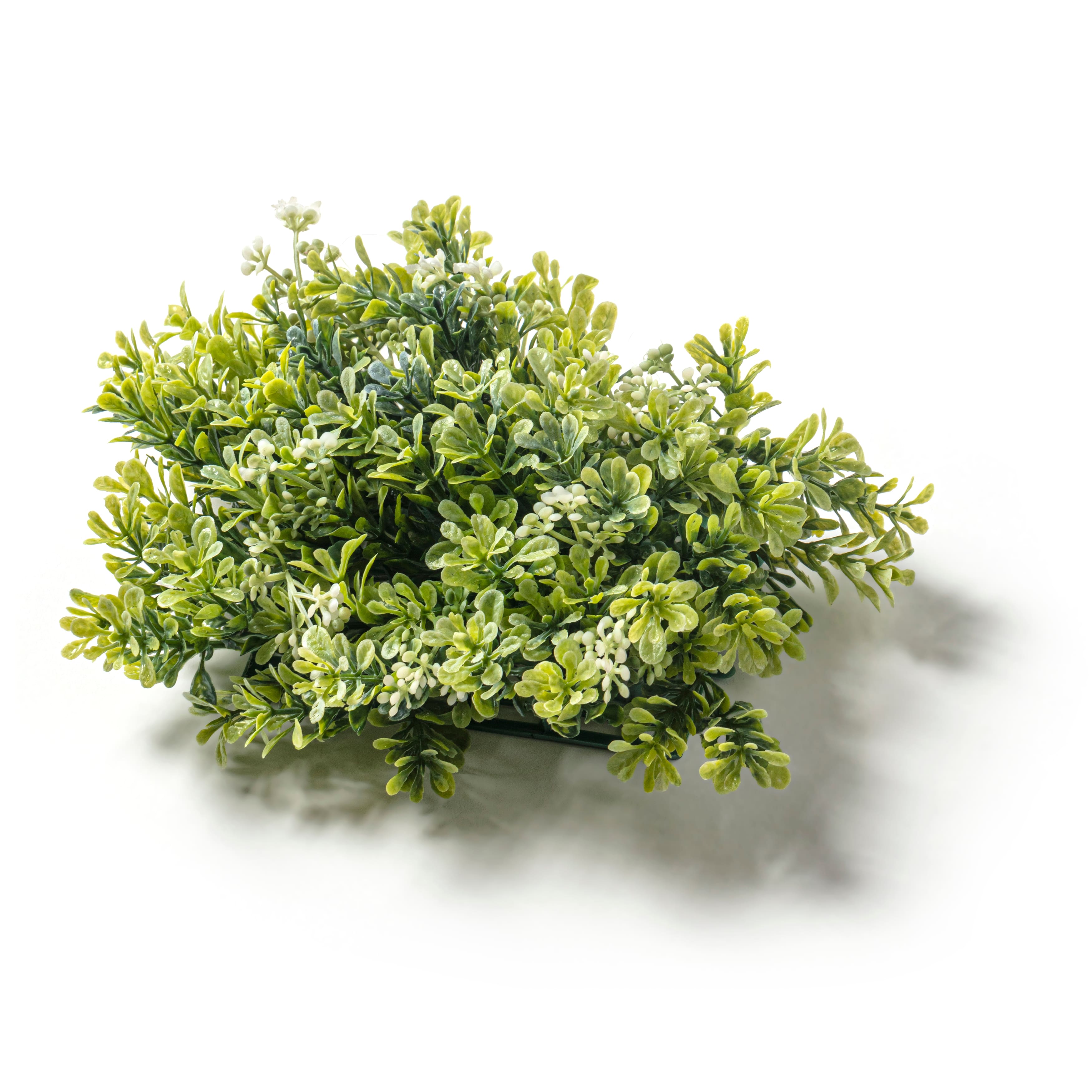 Green Boxwood Mat by Ashland®
