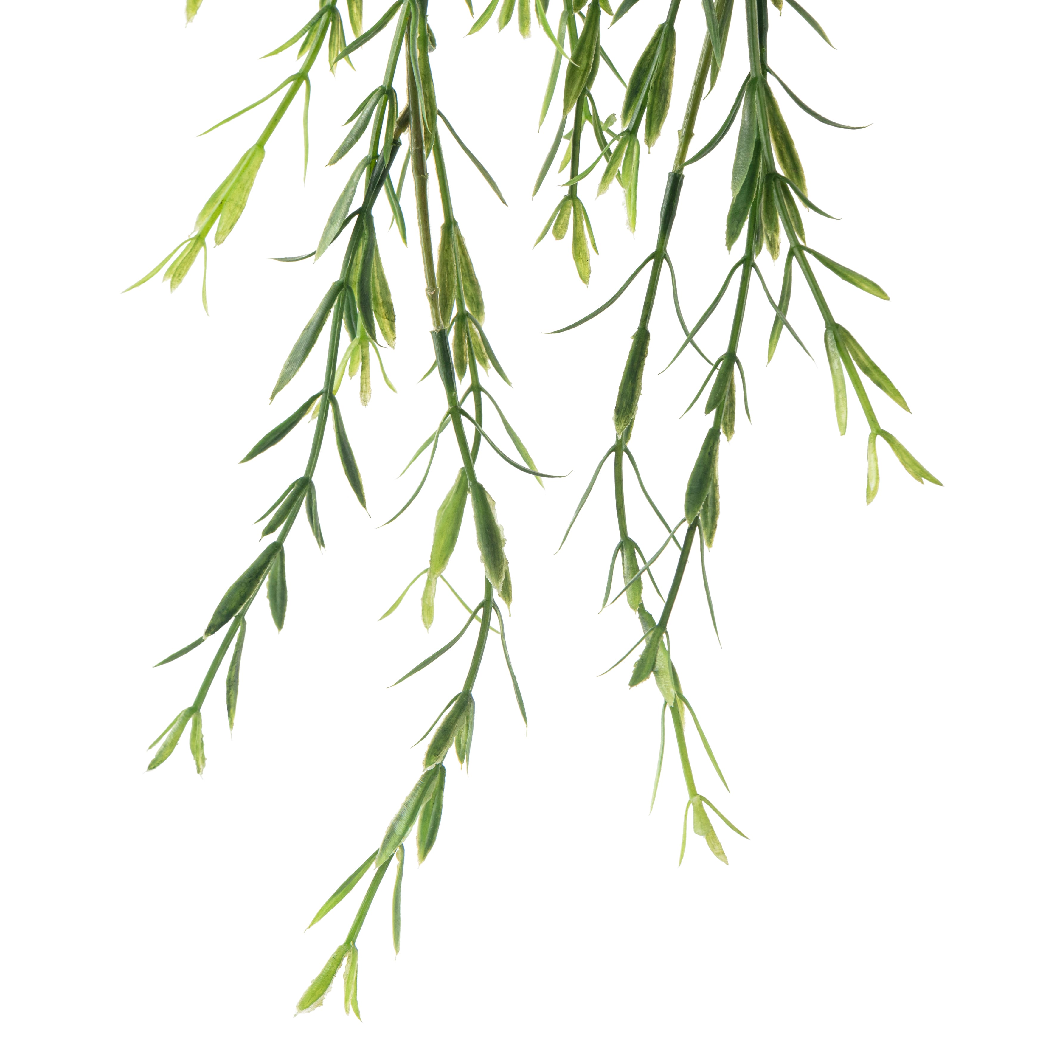 Green Trailing Grass Spray by Ashland®