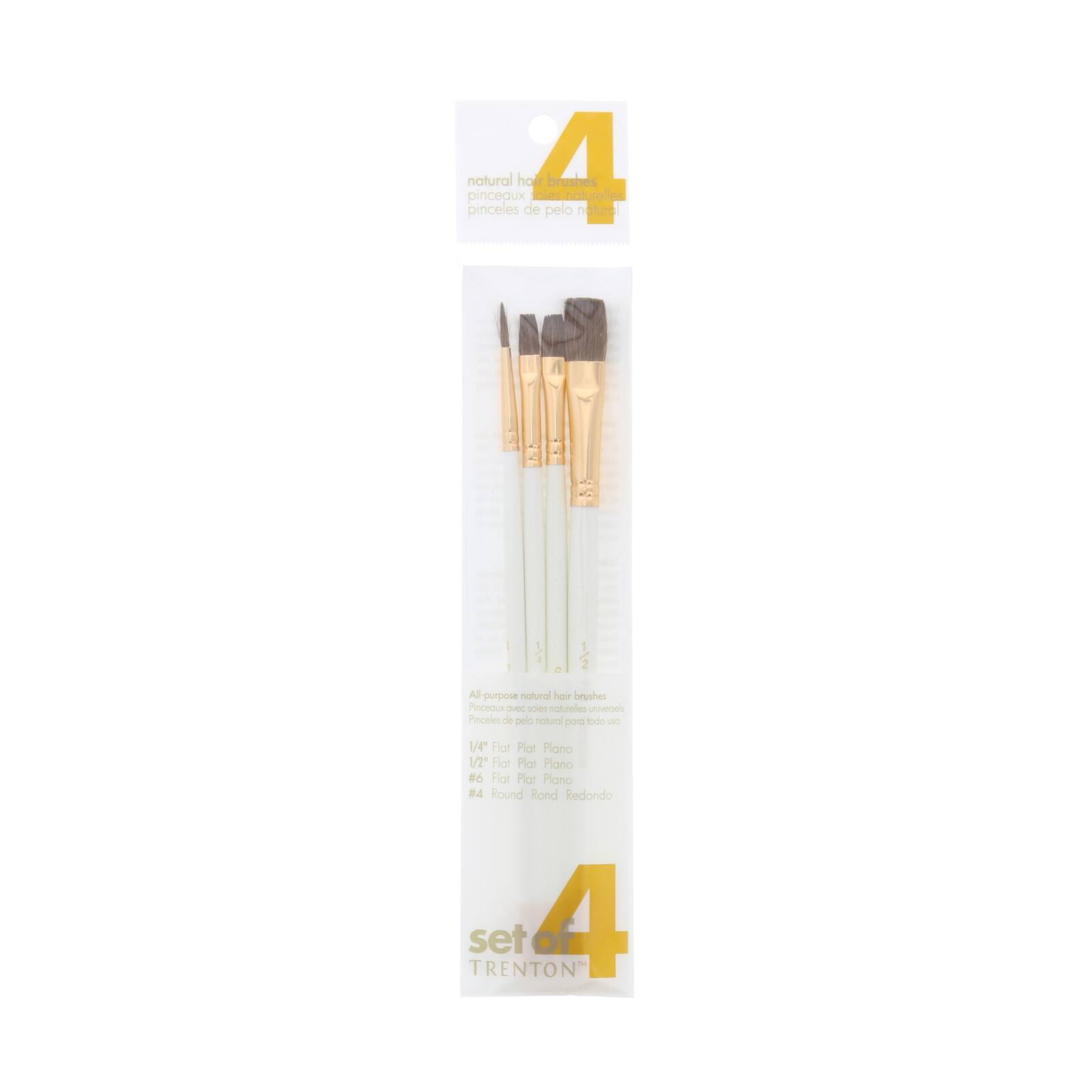 Princeton™ Camel Hair Round & Flat 4 Piece Brush Set