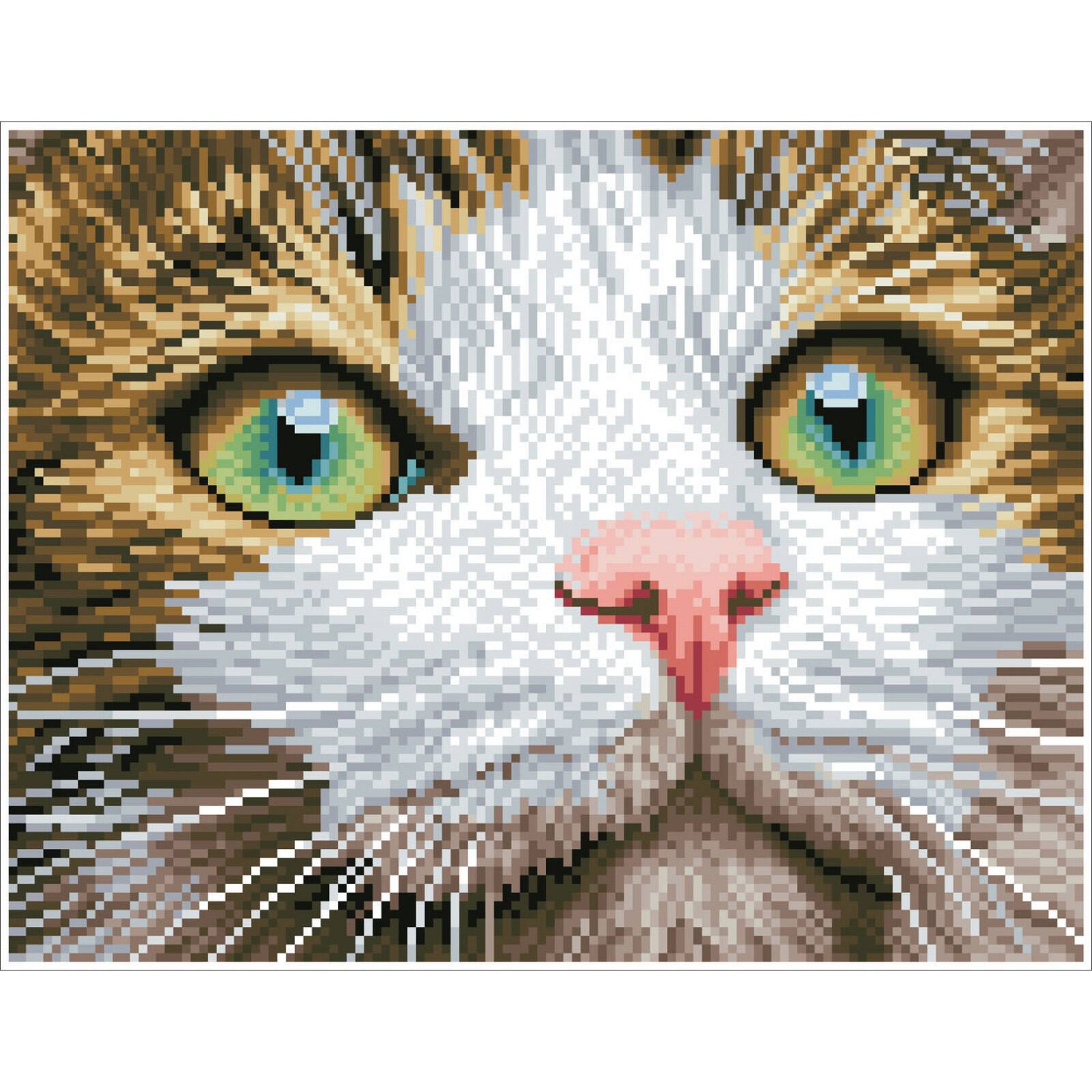 Diamond Dotz&#xAE; Intermediate Green Eyed Beauty with Frame Diamond Painting Kit
