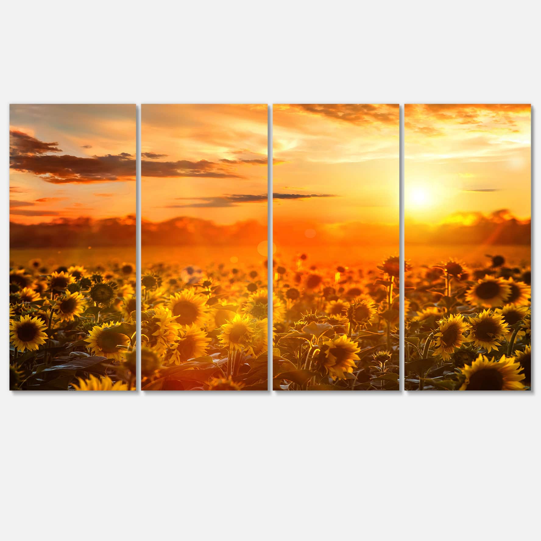 Designart - Yellow Sunset over Sunflowers - Floral Photography Art