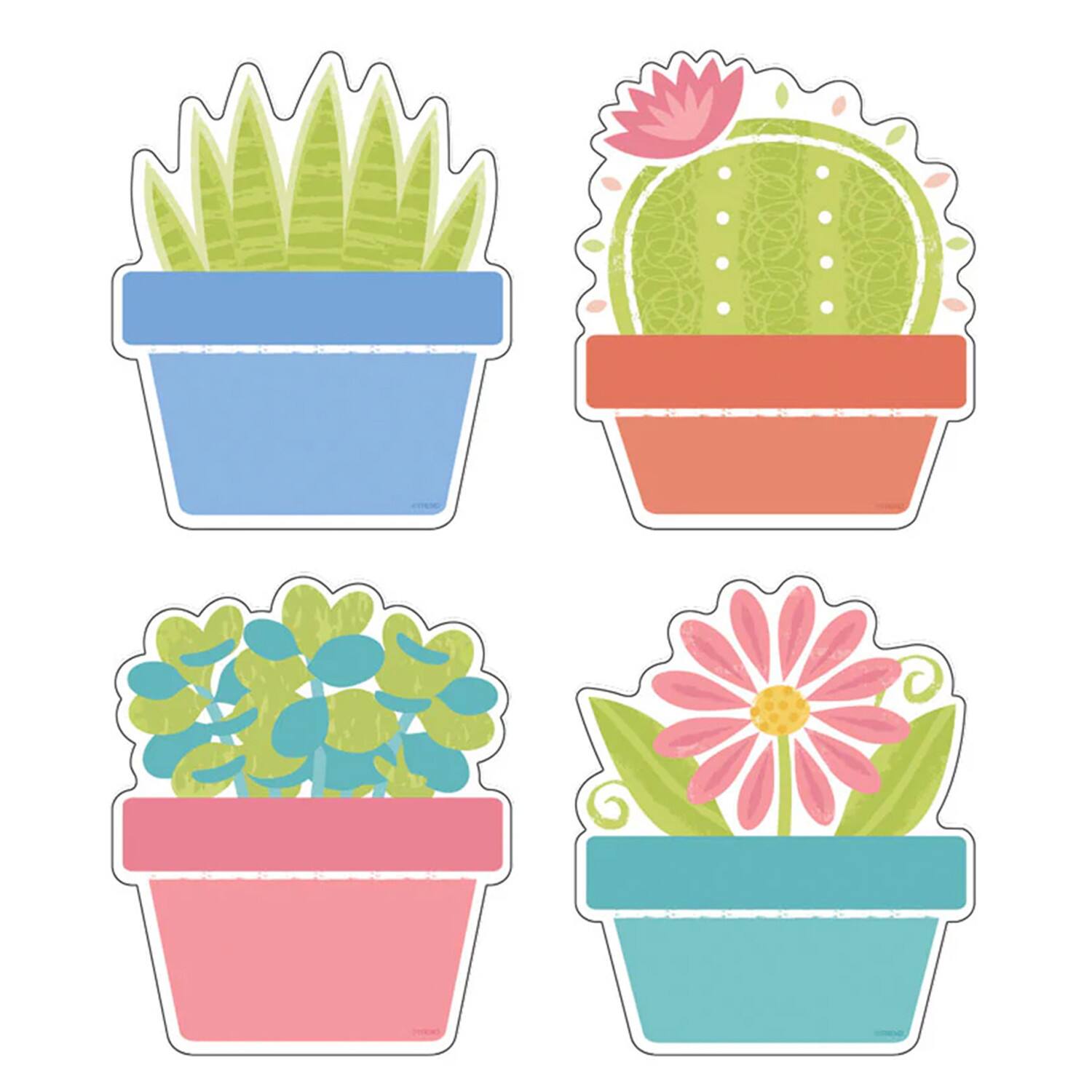 TREND Garden Plants Classic Accents® Variety, 3 Packs of 108