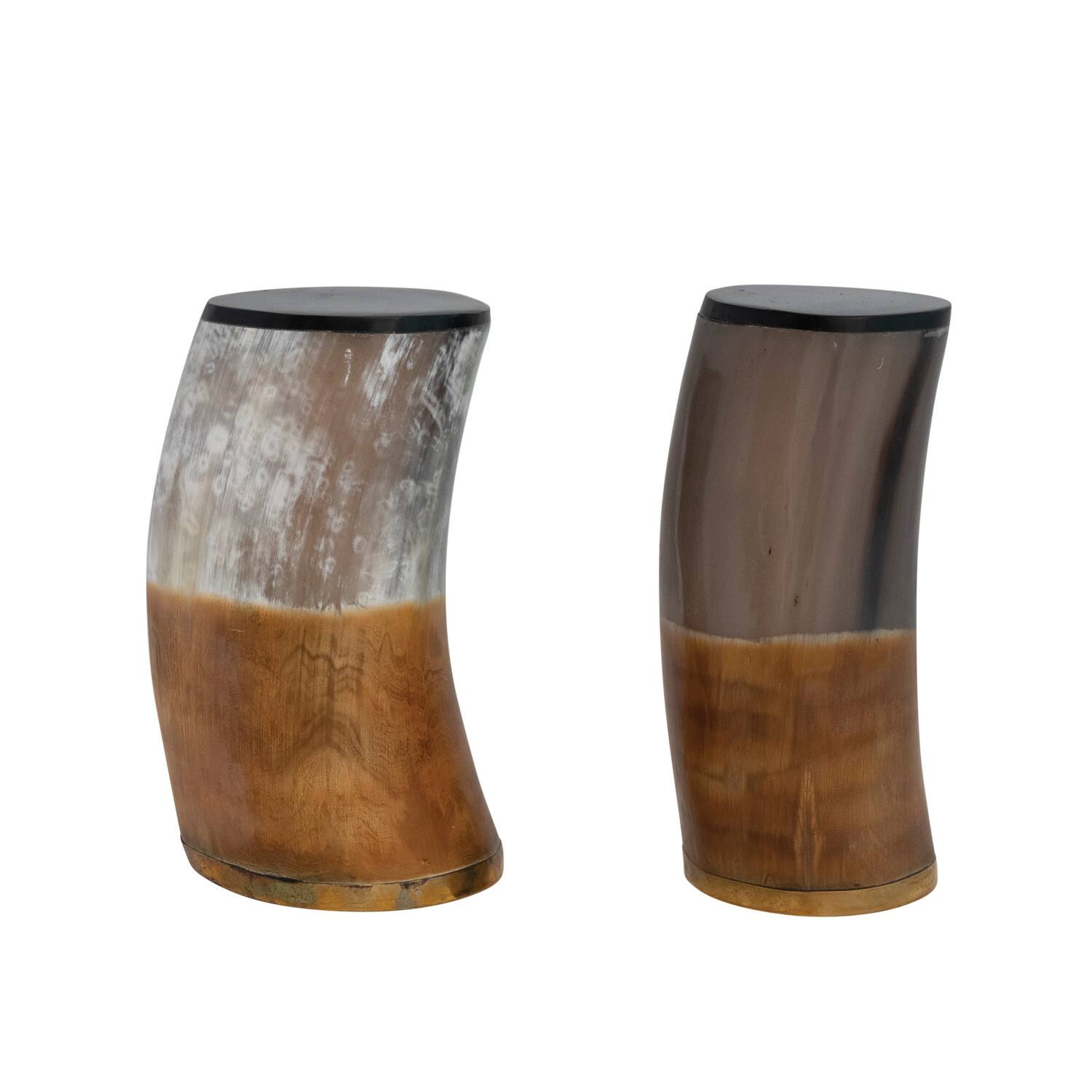 Hello Honey® 5.25" Horn & Brass Bookends Set