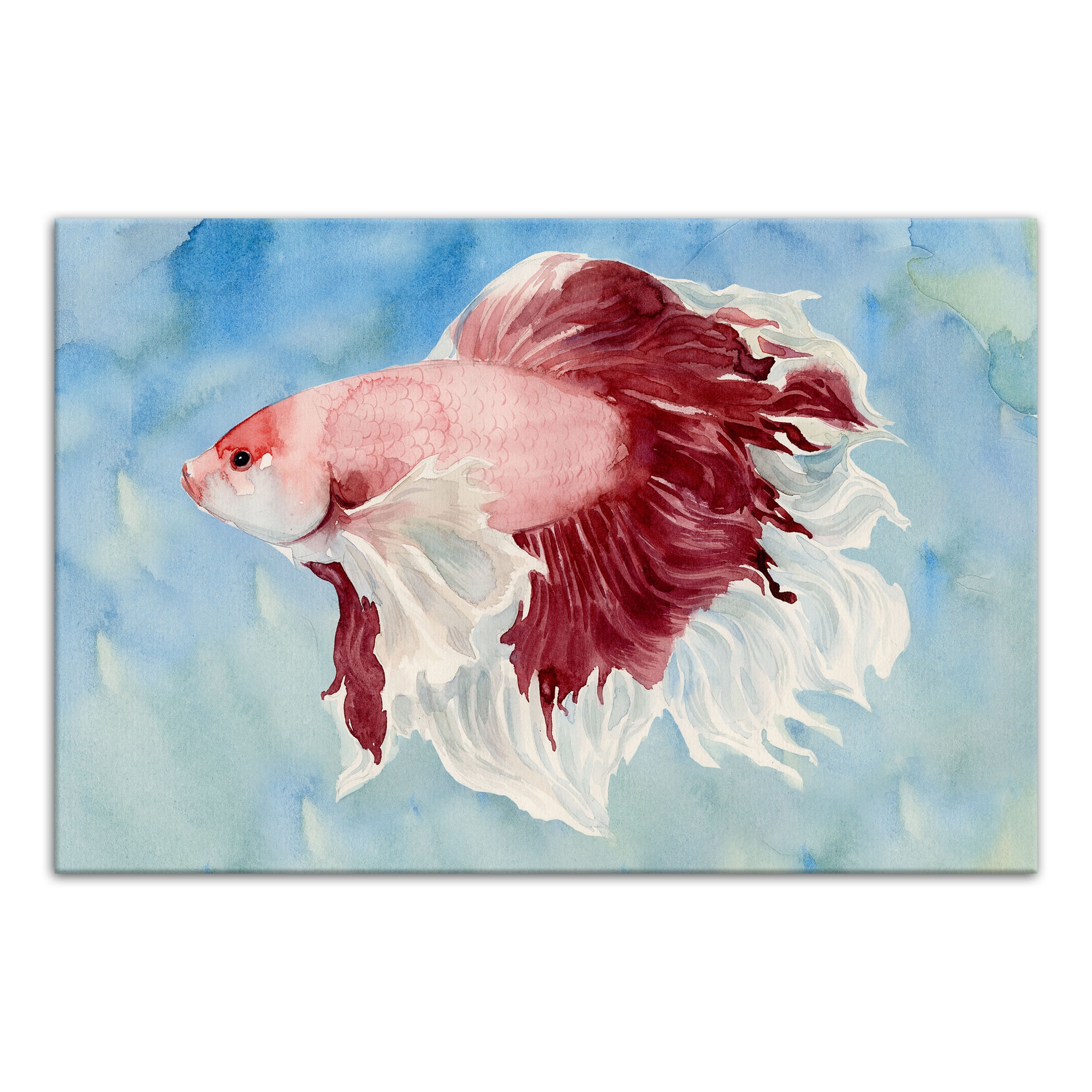 Red Fish 18&#x22; x 12&#x27; Canvas Wall Art