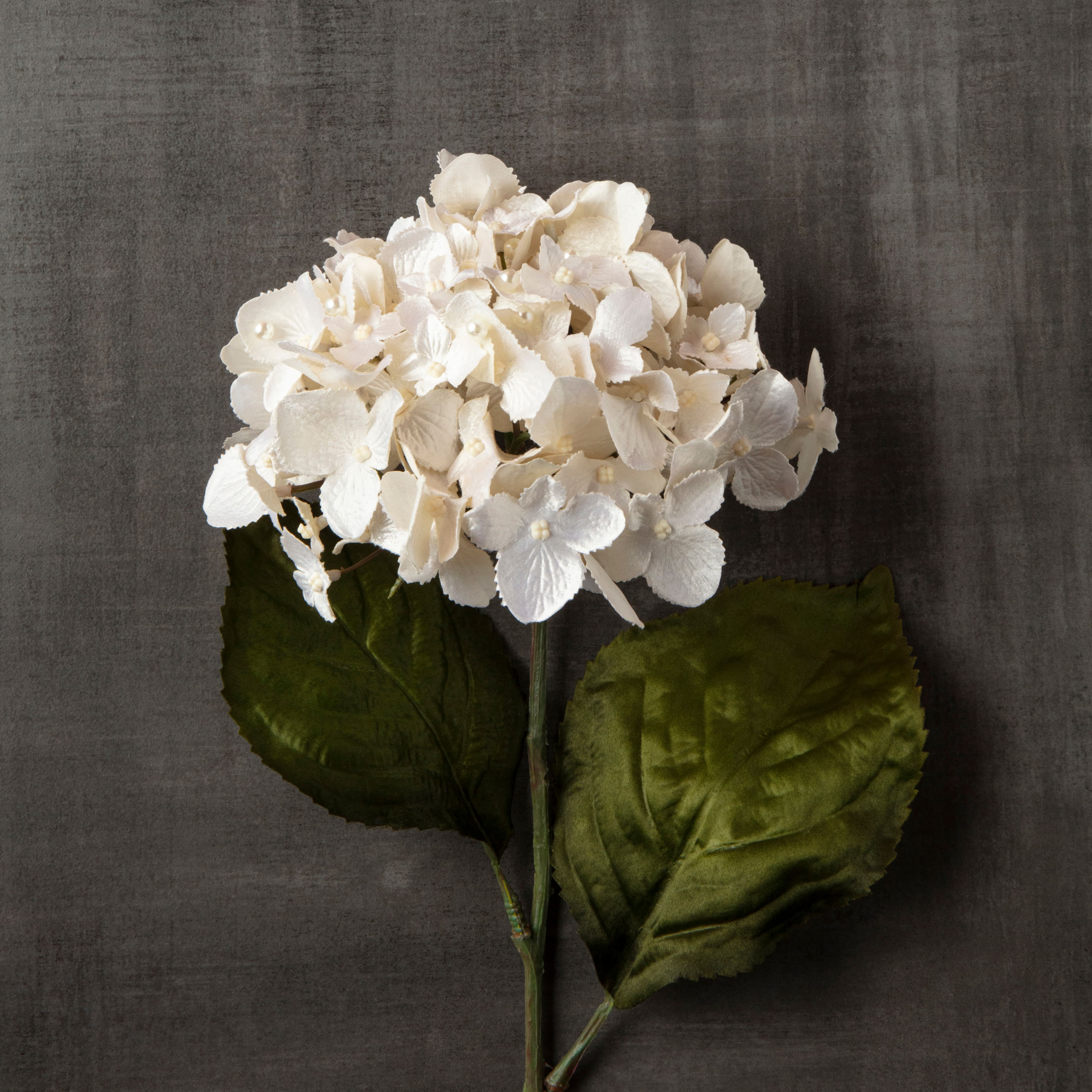 Pearl Hydrangea Stem by Ashland®