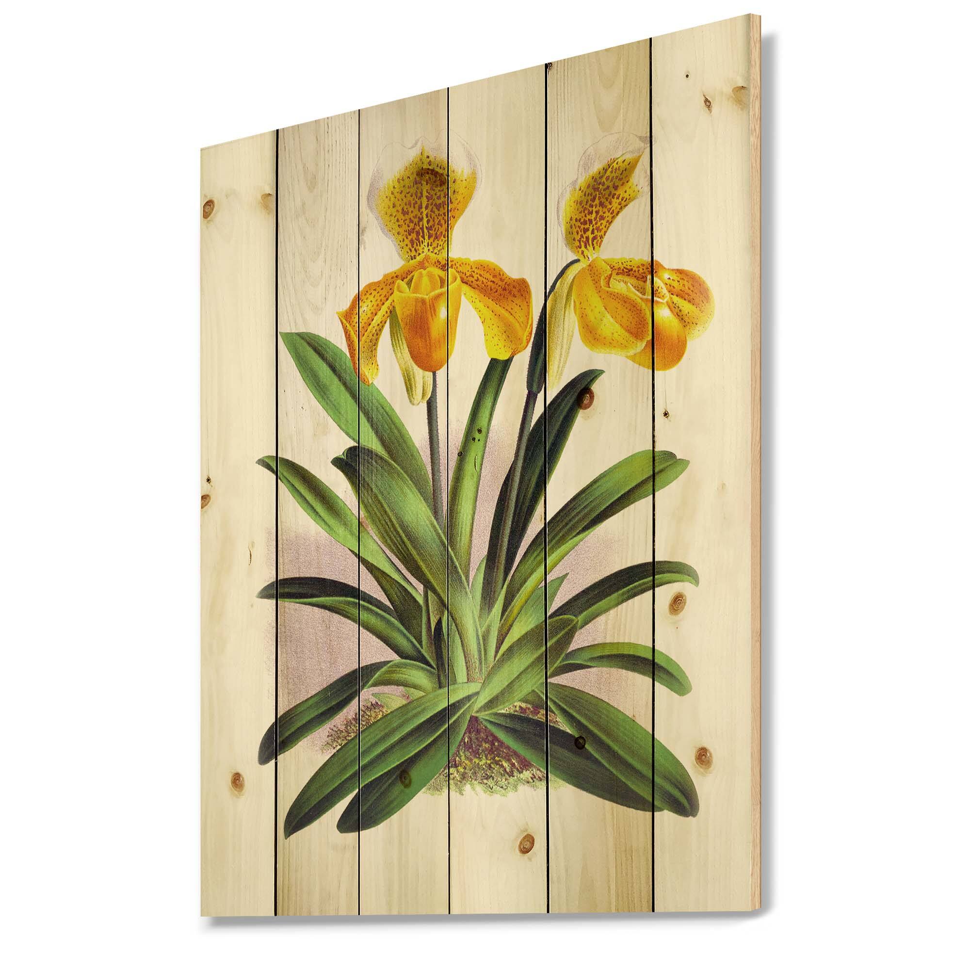 Designart - Vintage Yellow Orchid - Traditional Print on Natural Pine Wood