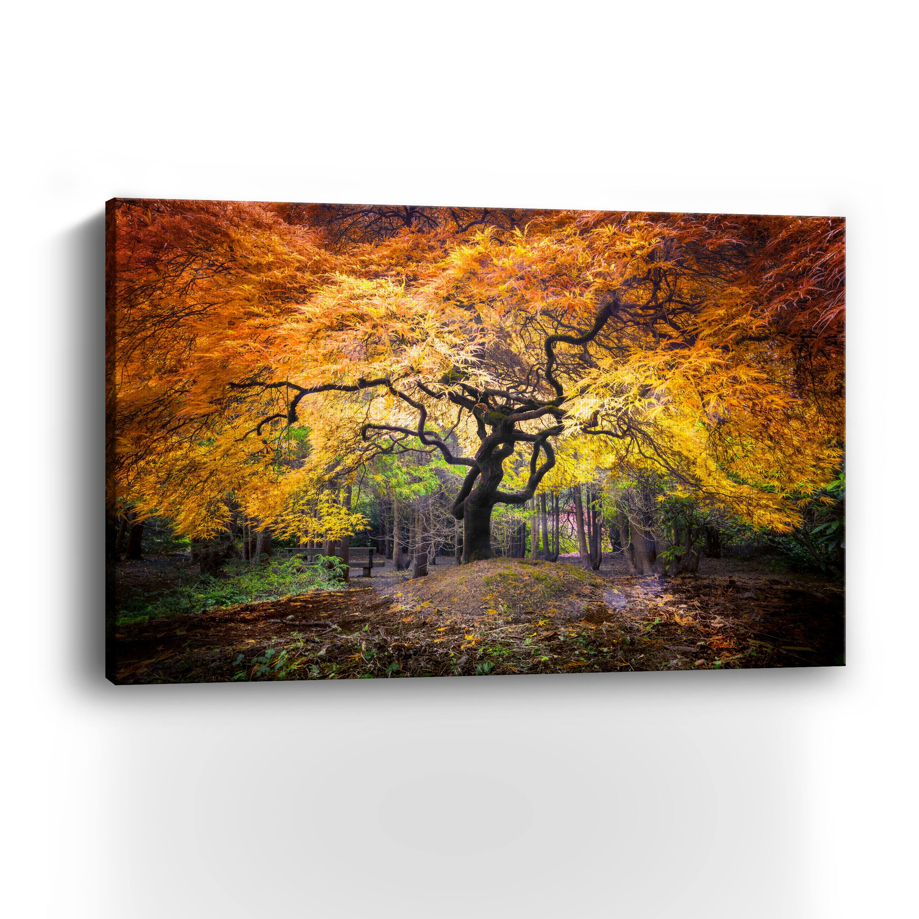 Hidden Jewel Canvas Giclee